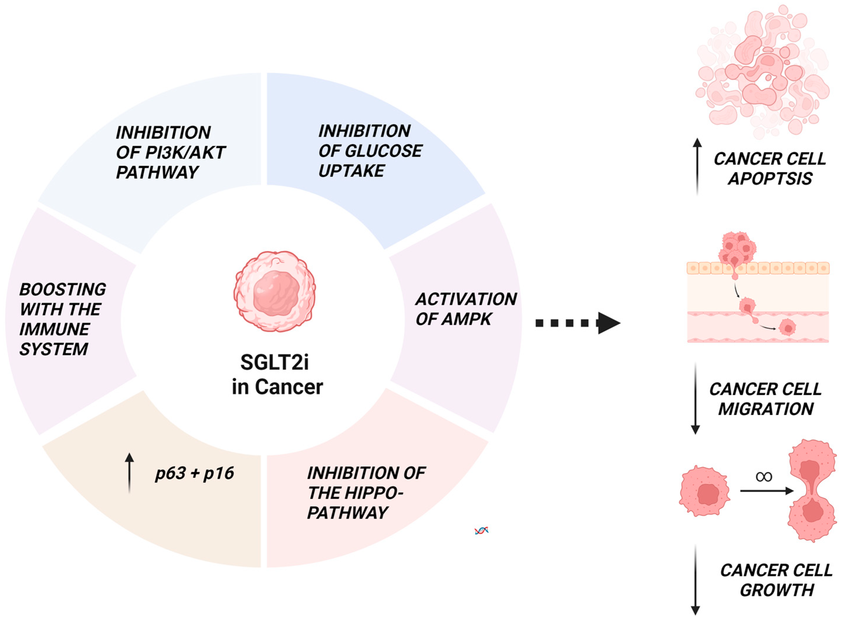 Hearts 05 00039 g002