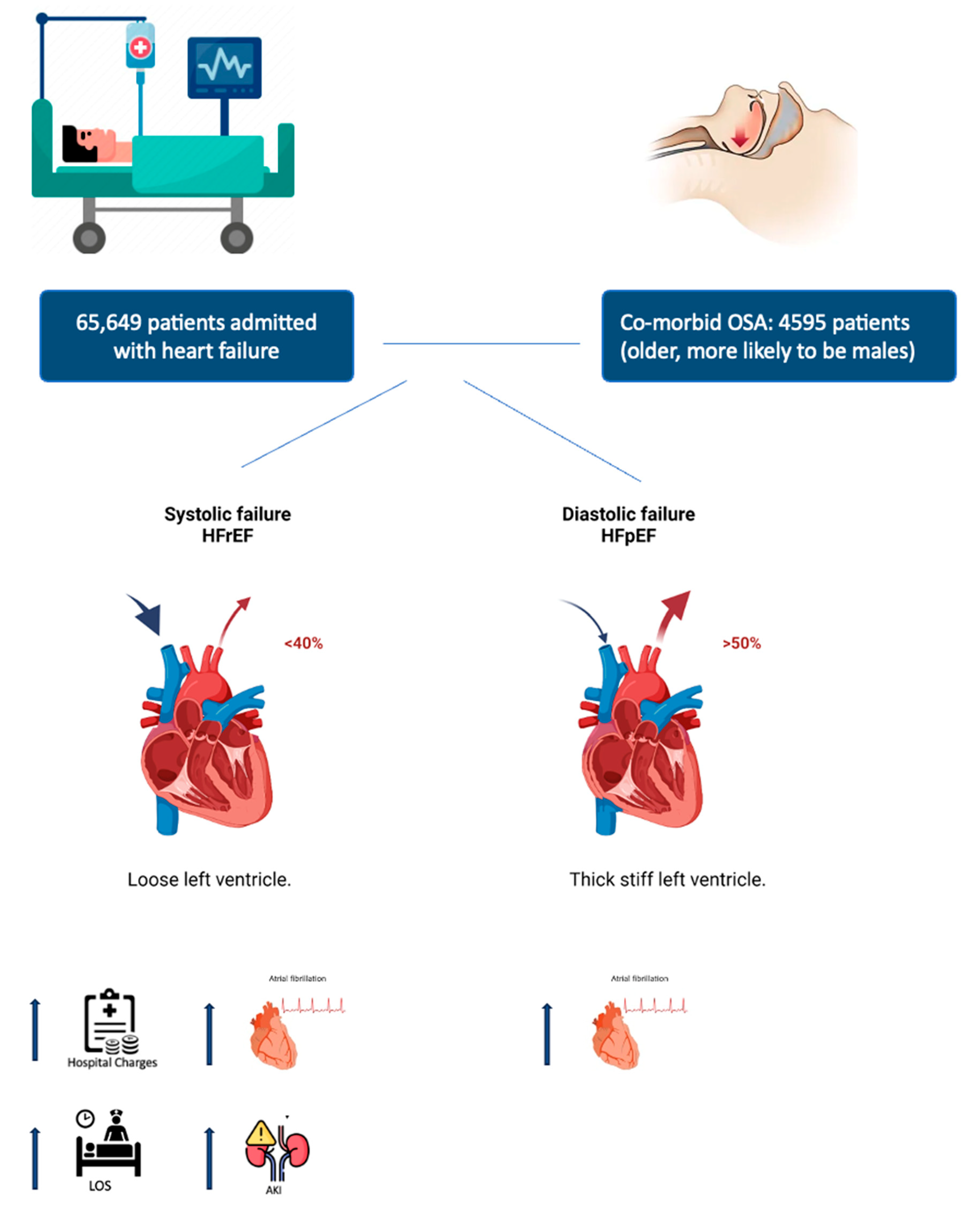 Heart Failure | ScienceDirect