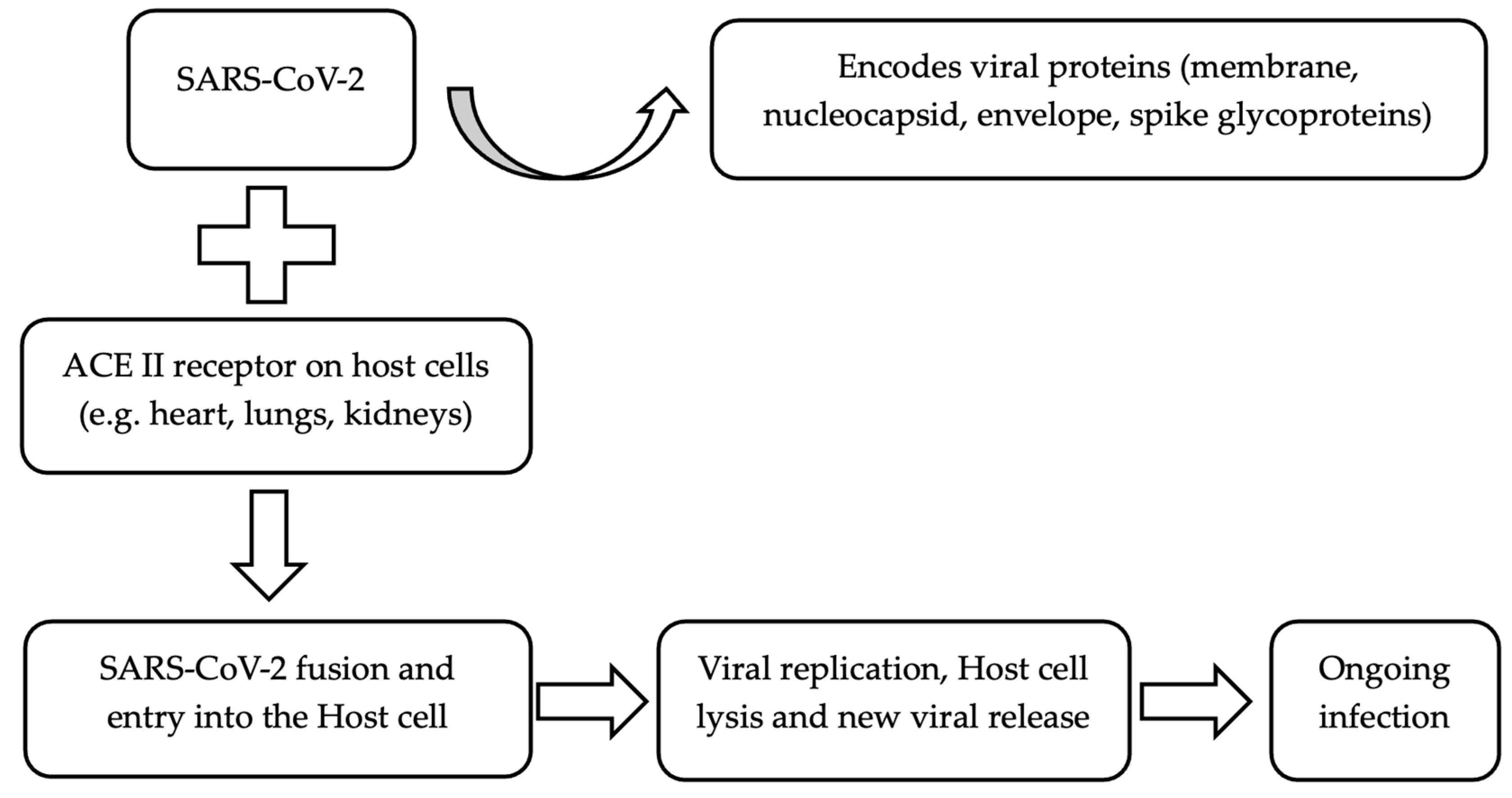 Hearts 05 00048 g001