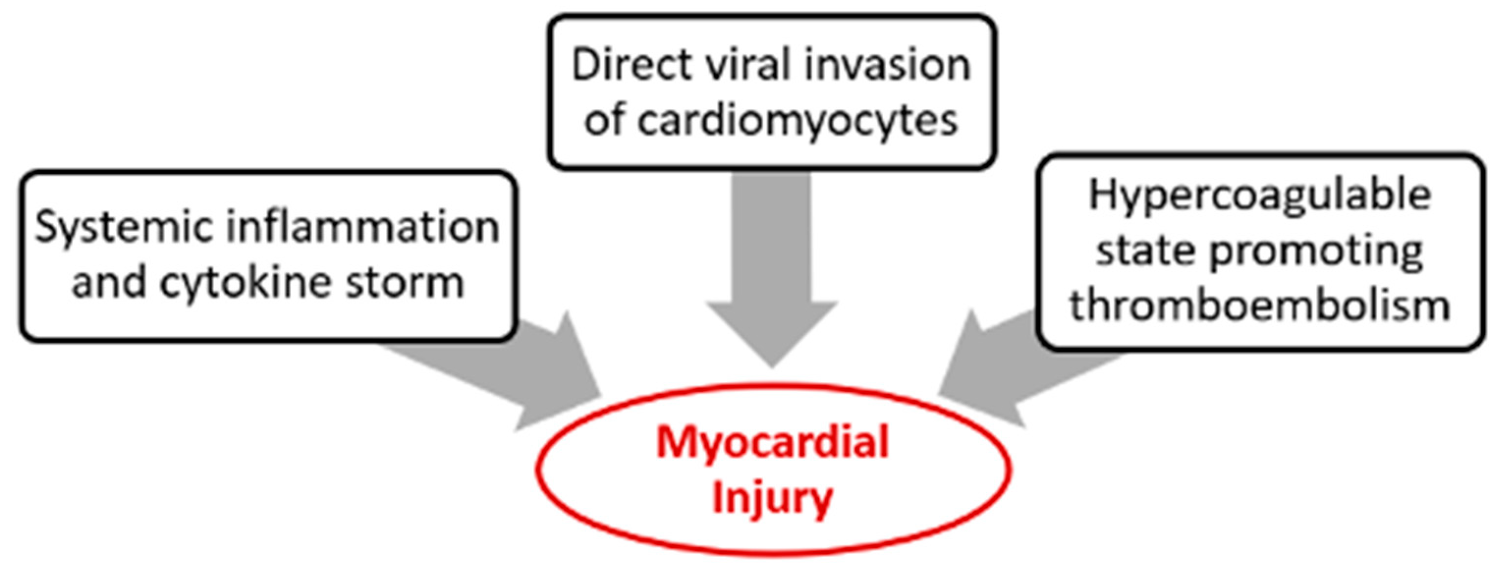 Hearts 05 00048 g004