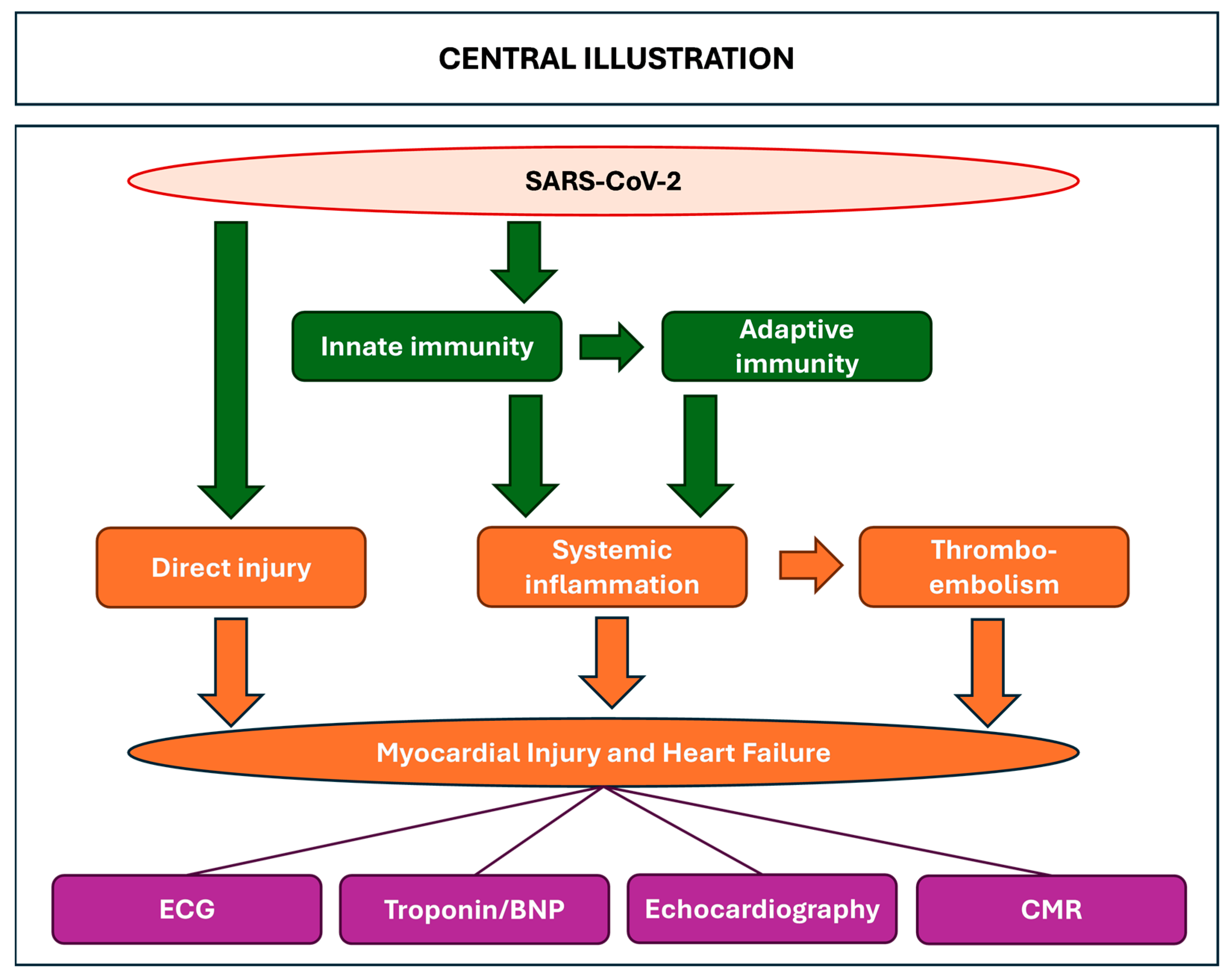 Hearts 05 00048 g005