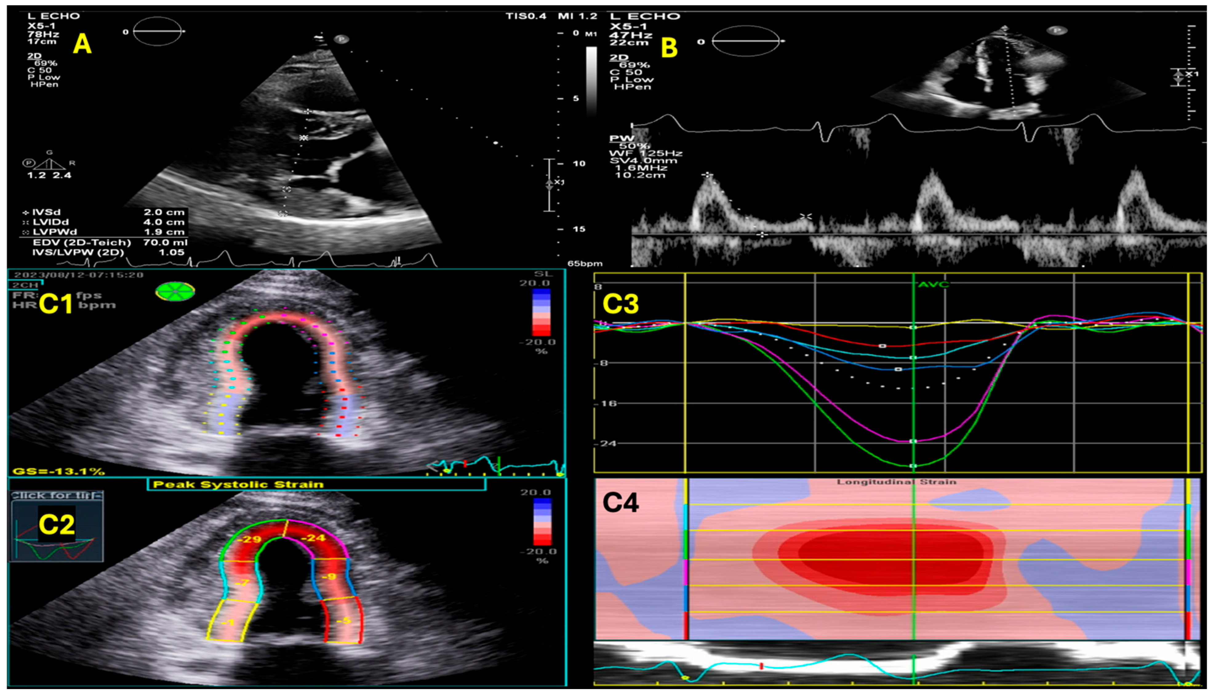 Hearts 06 00006 g002