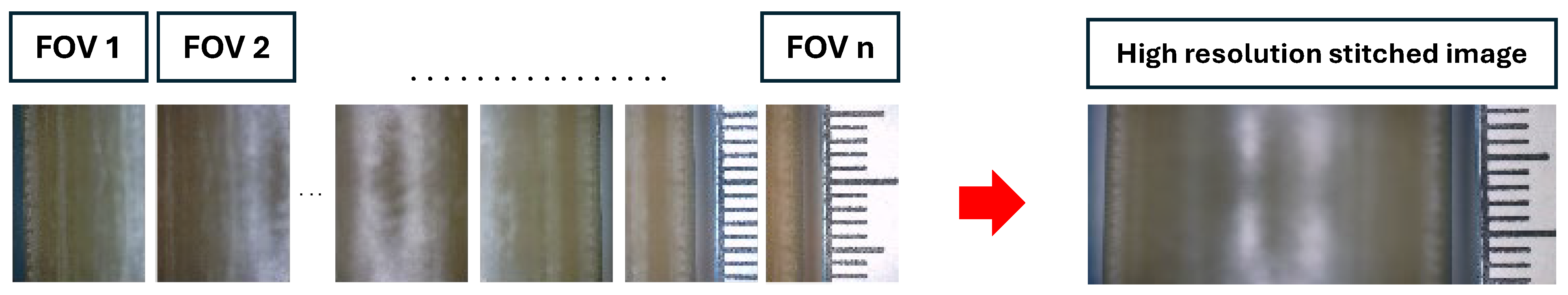 Hearts 06 00025 g002