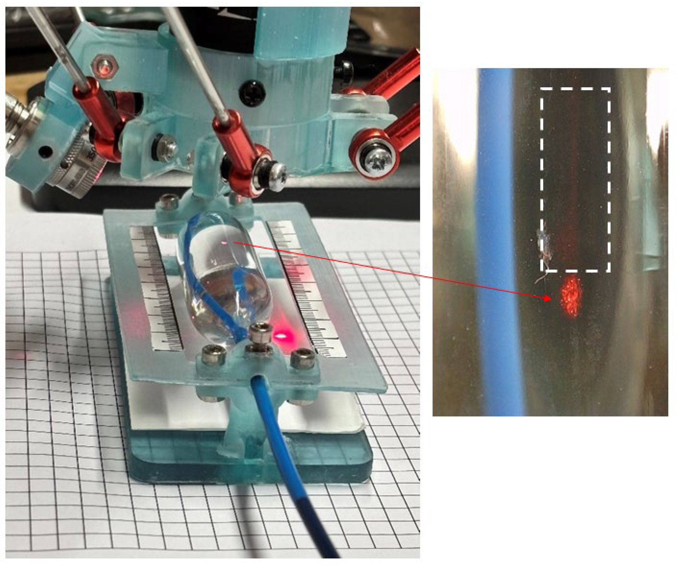 Hearts 06 00025 g004