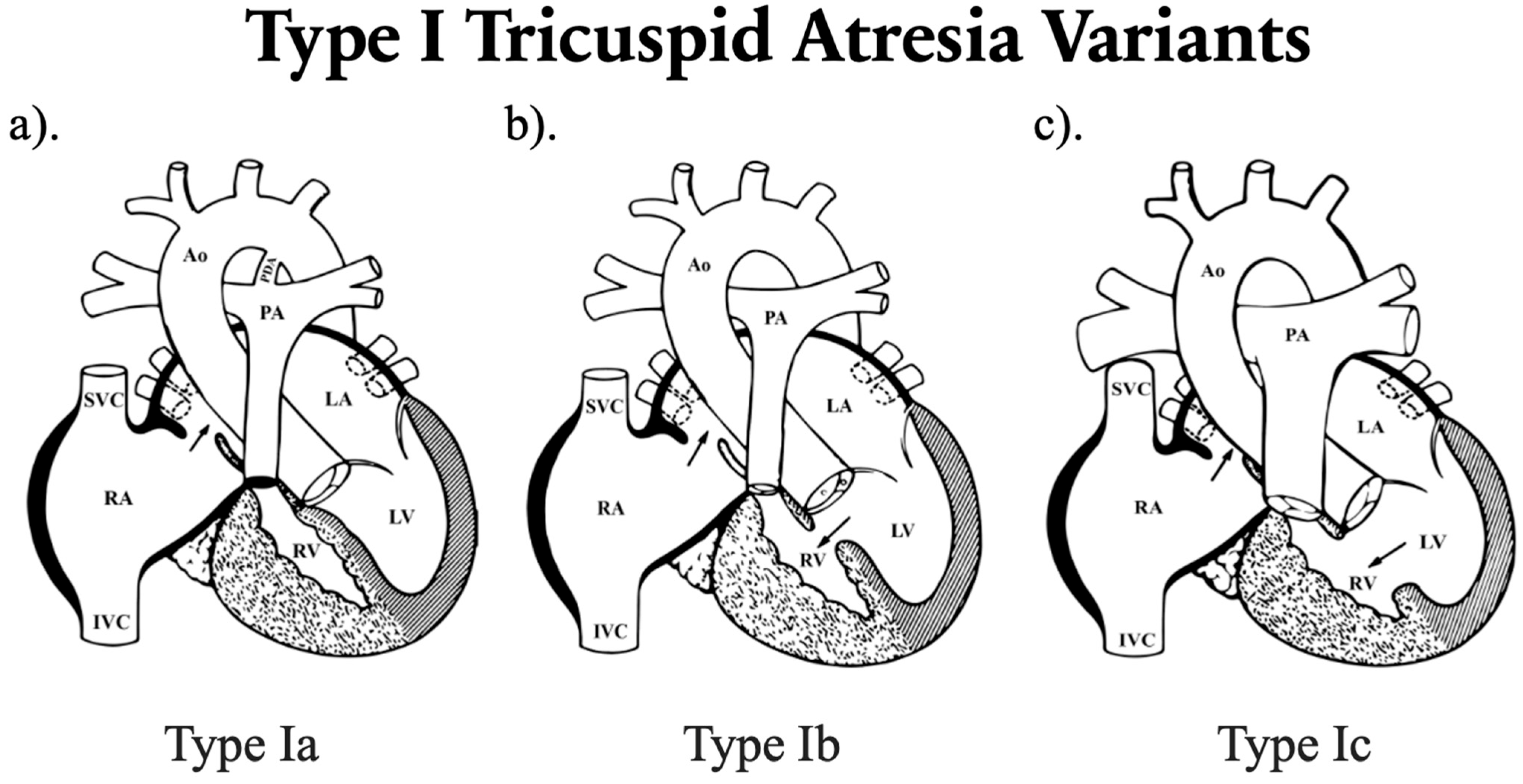 Hearts 06 00030 g001 Hearts 06 00030 g001