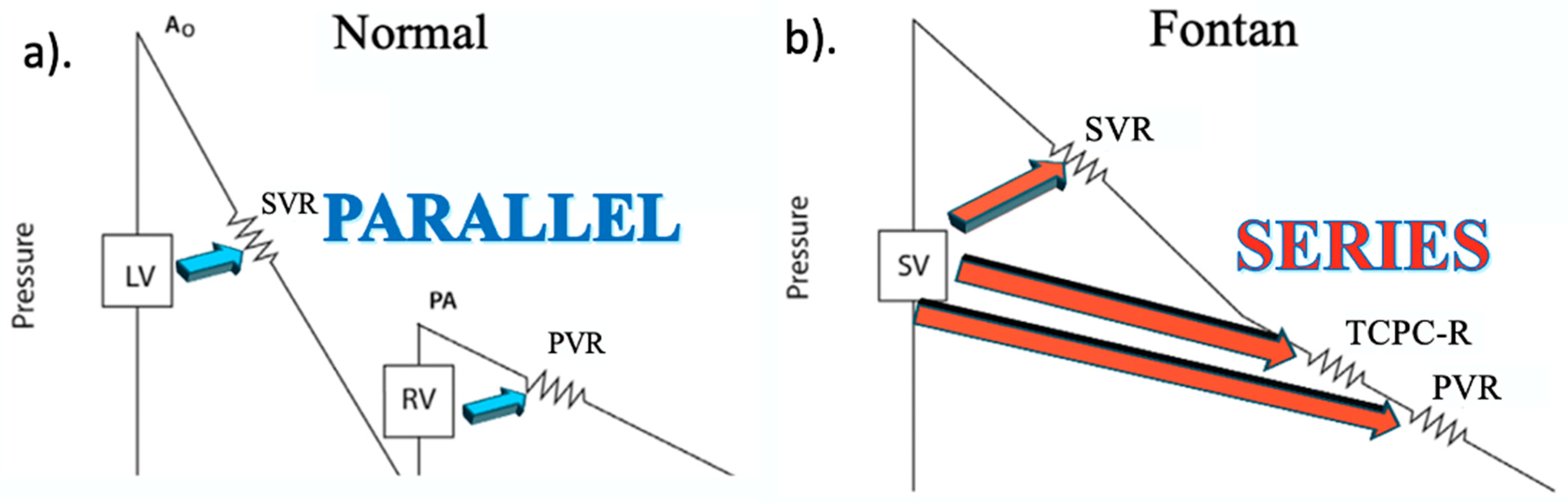 Hearts 06 00030 g003 Hearts 06 00030 g003