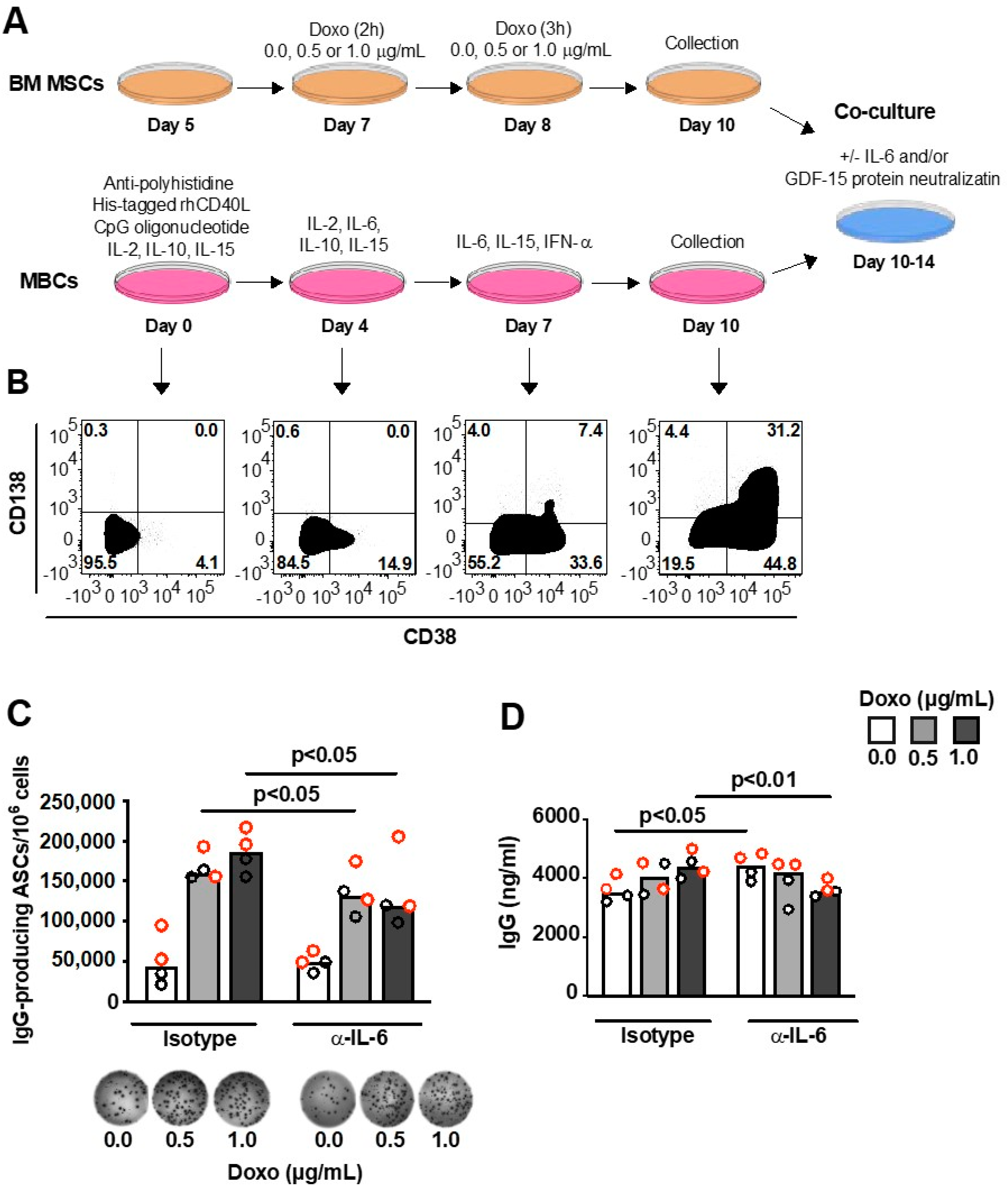Hemato 02 00009 g003