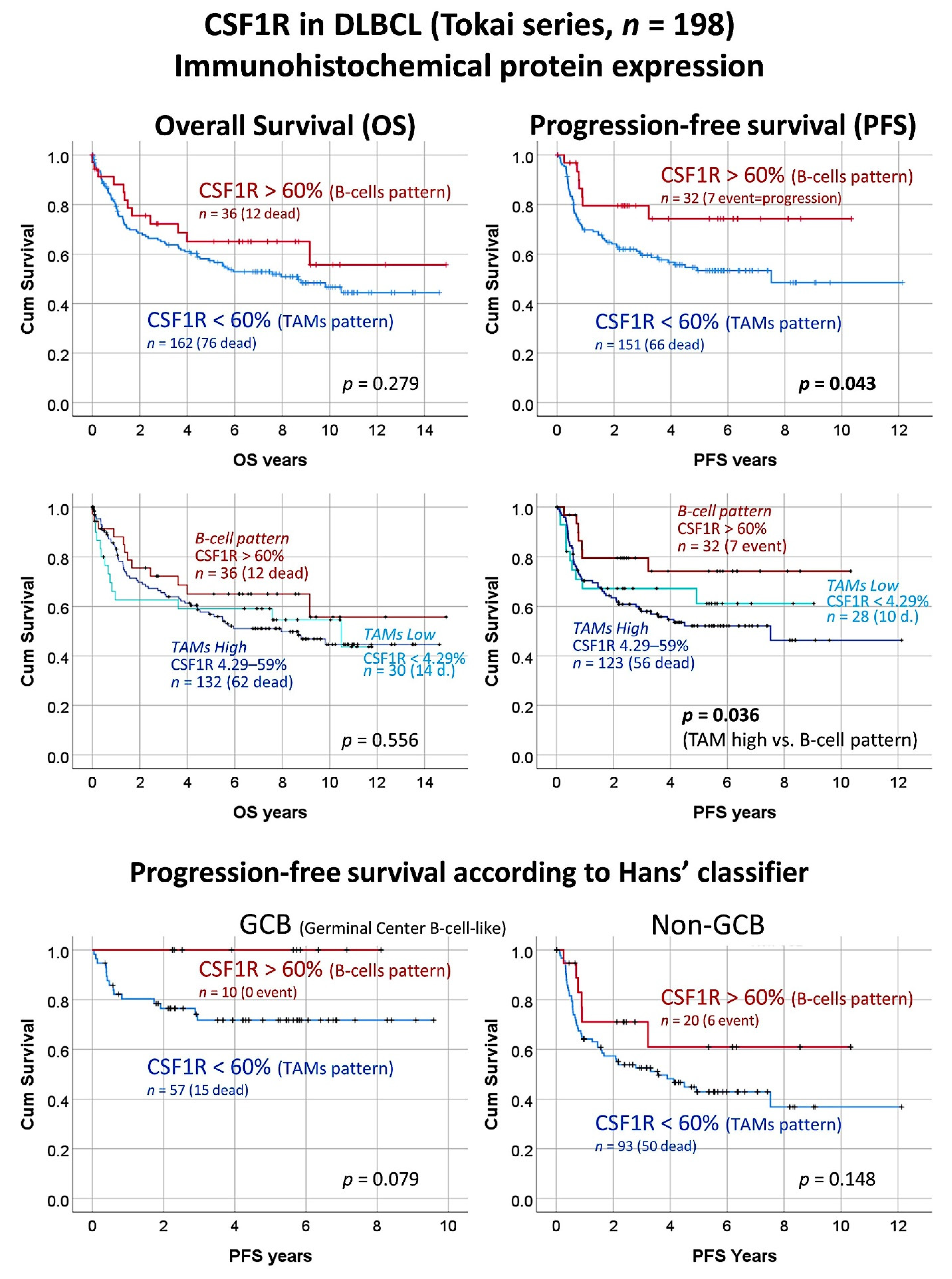 Hemato 02 00011 g003