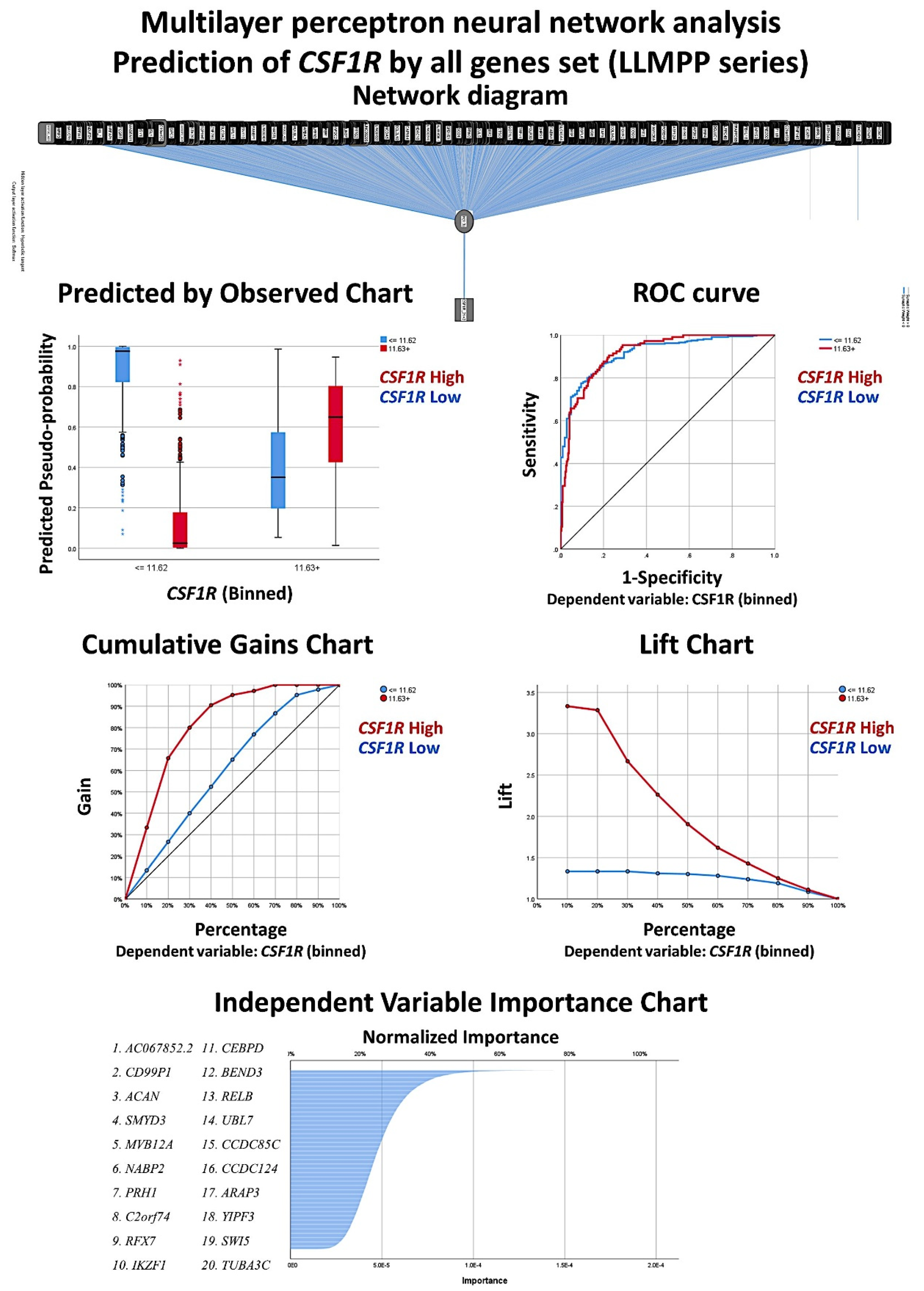 Hemato 02 00011 g006