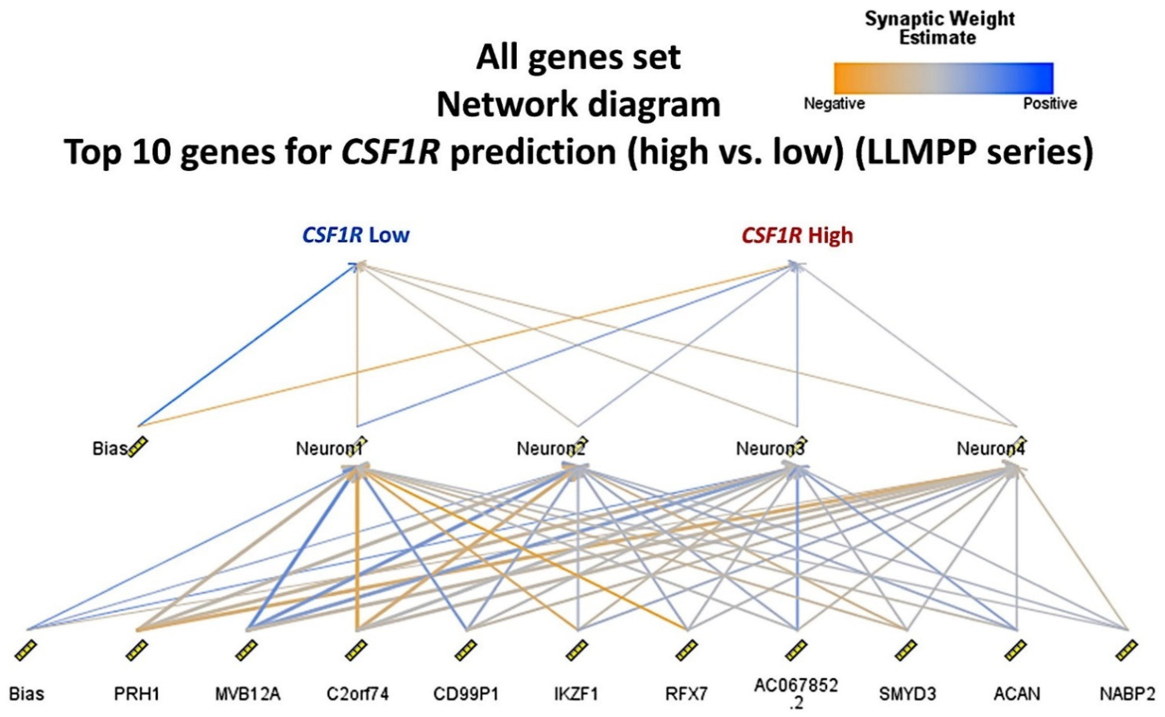Hemato 02 00011 g007
