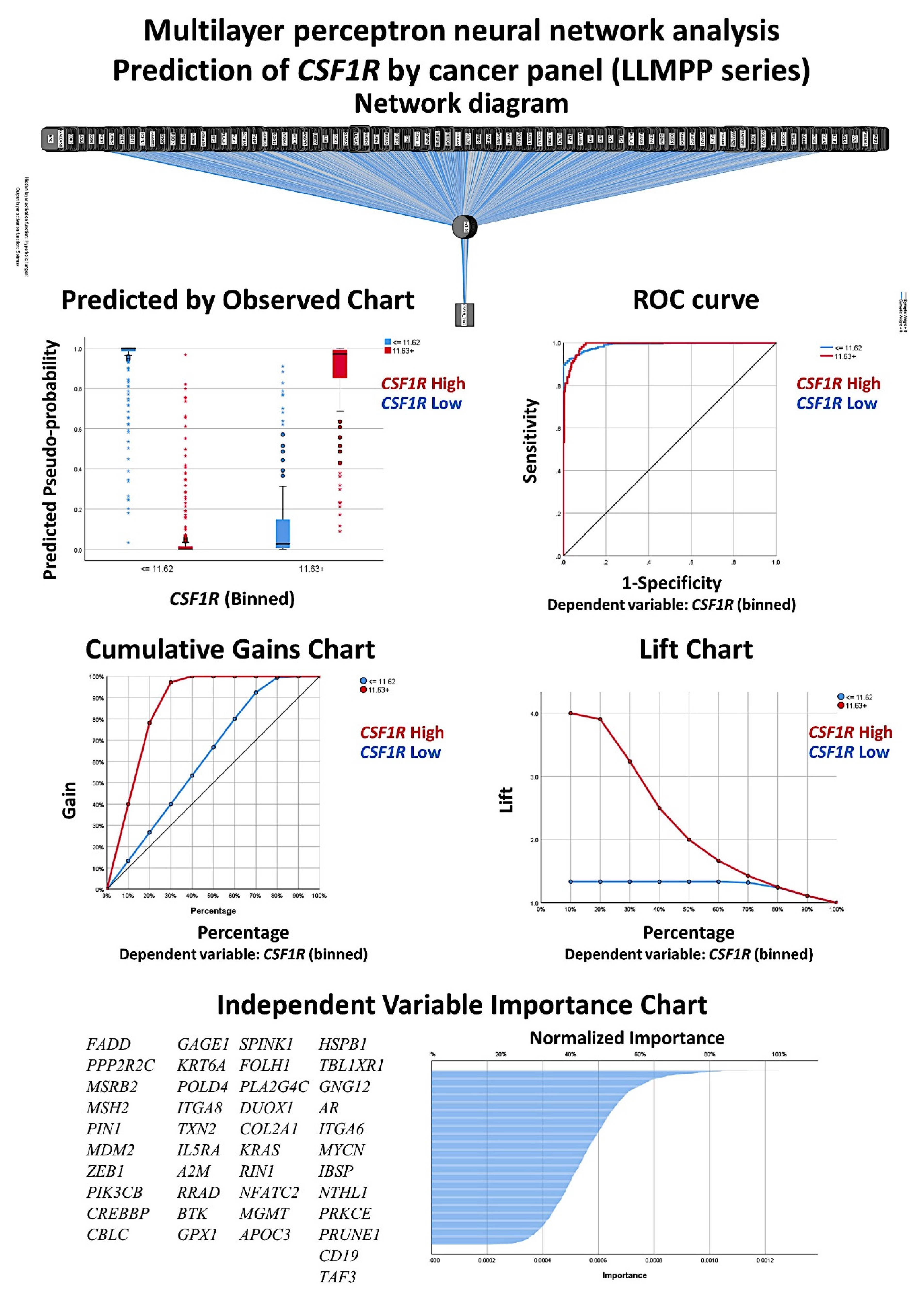 Hemato 02 00011 g008