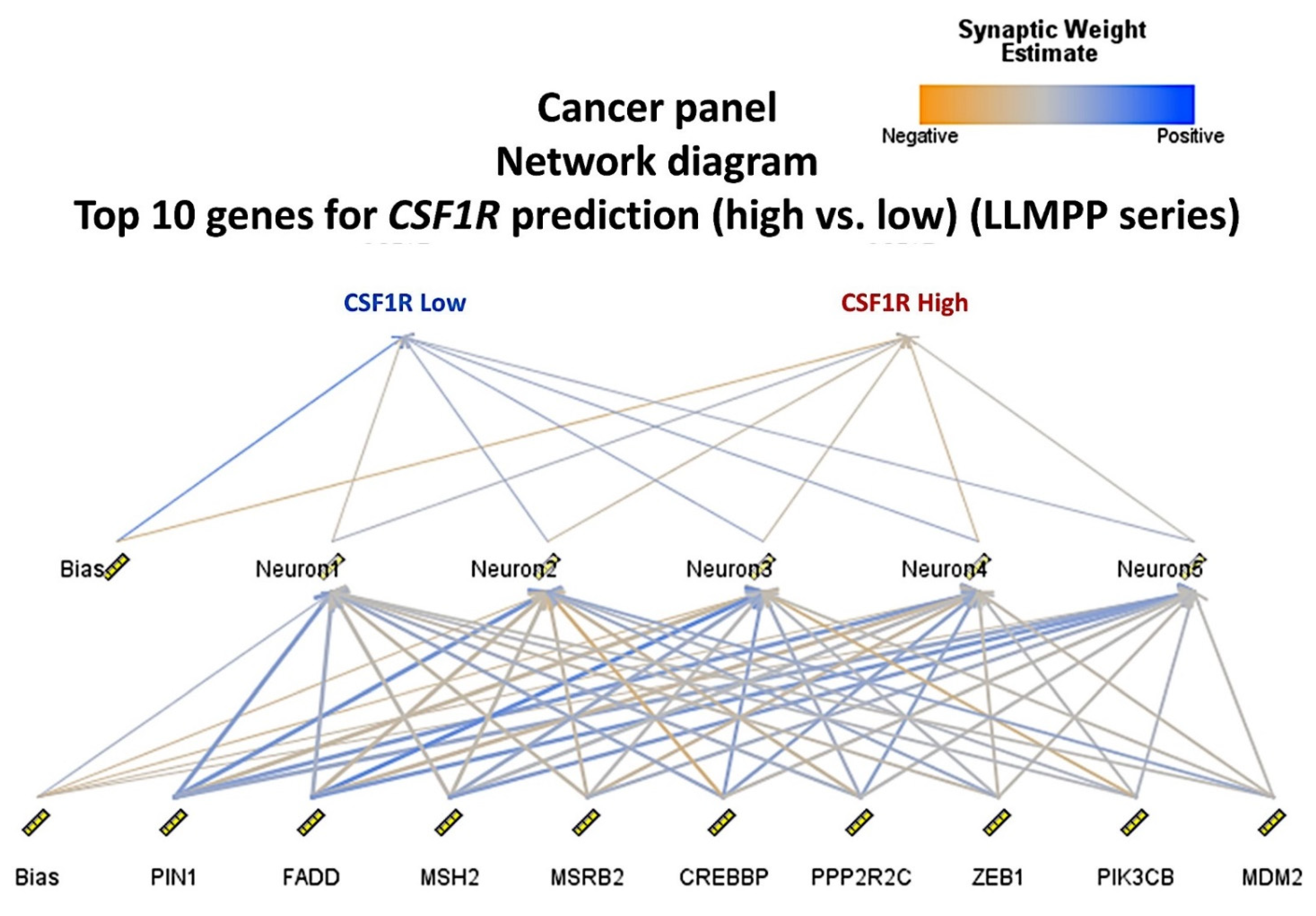 Hemato 02 00011 g009