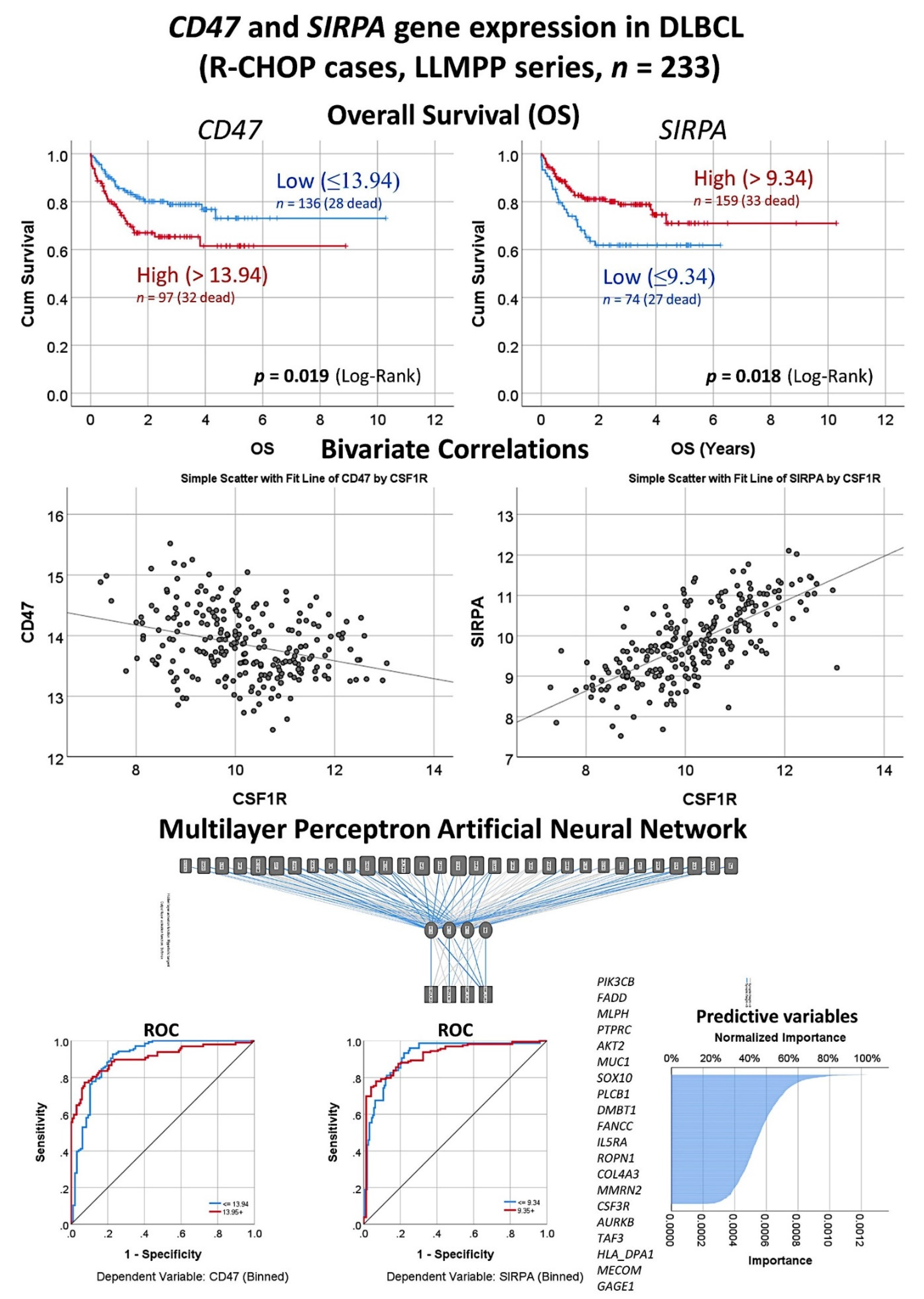 Hemato 02 00011 g010