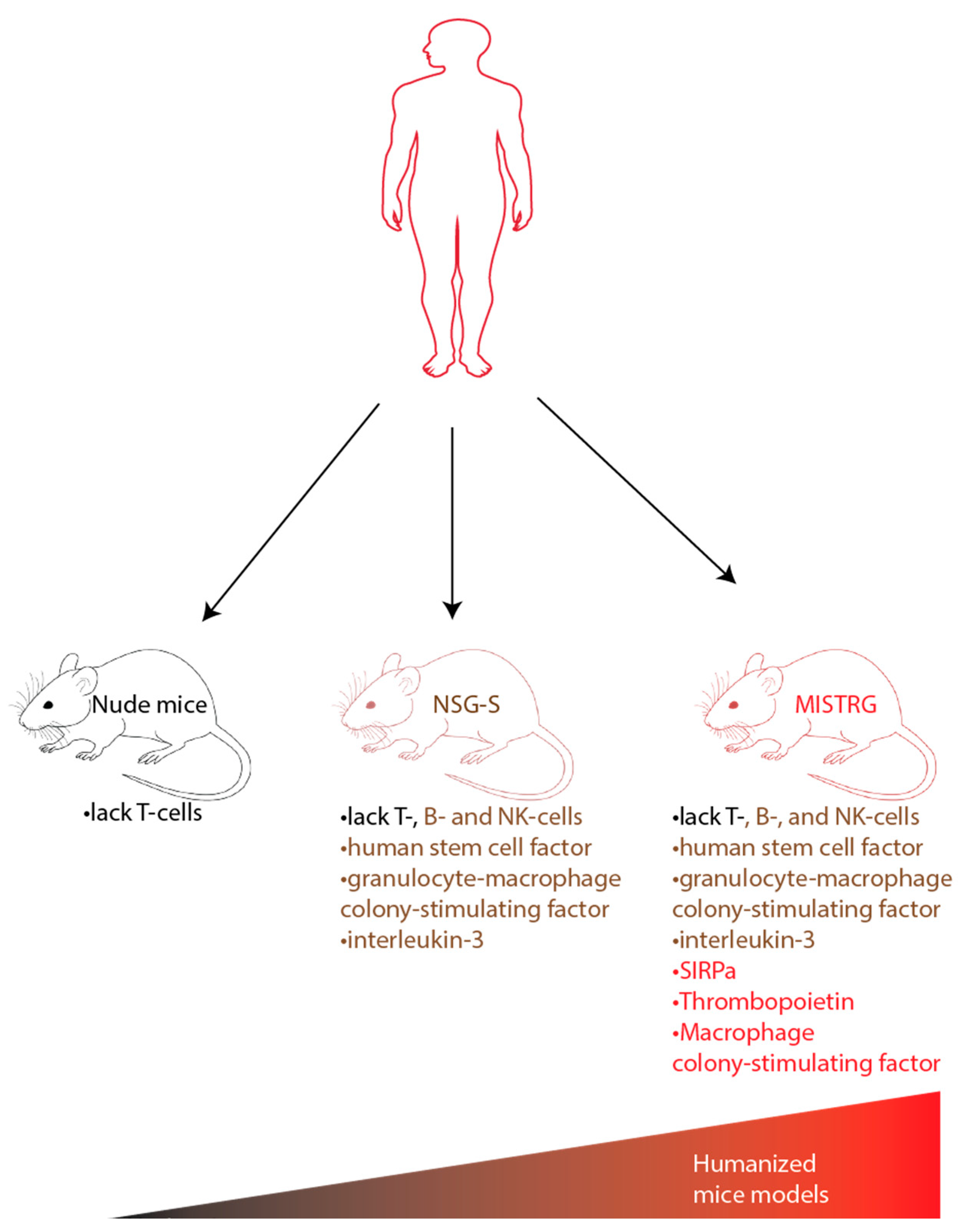 Hemato 02 00013 g002 Hemato 02 00013 g002