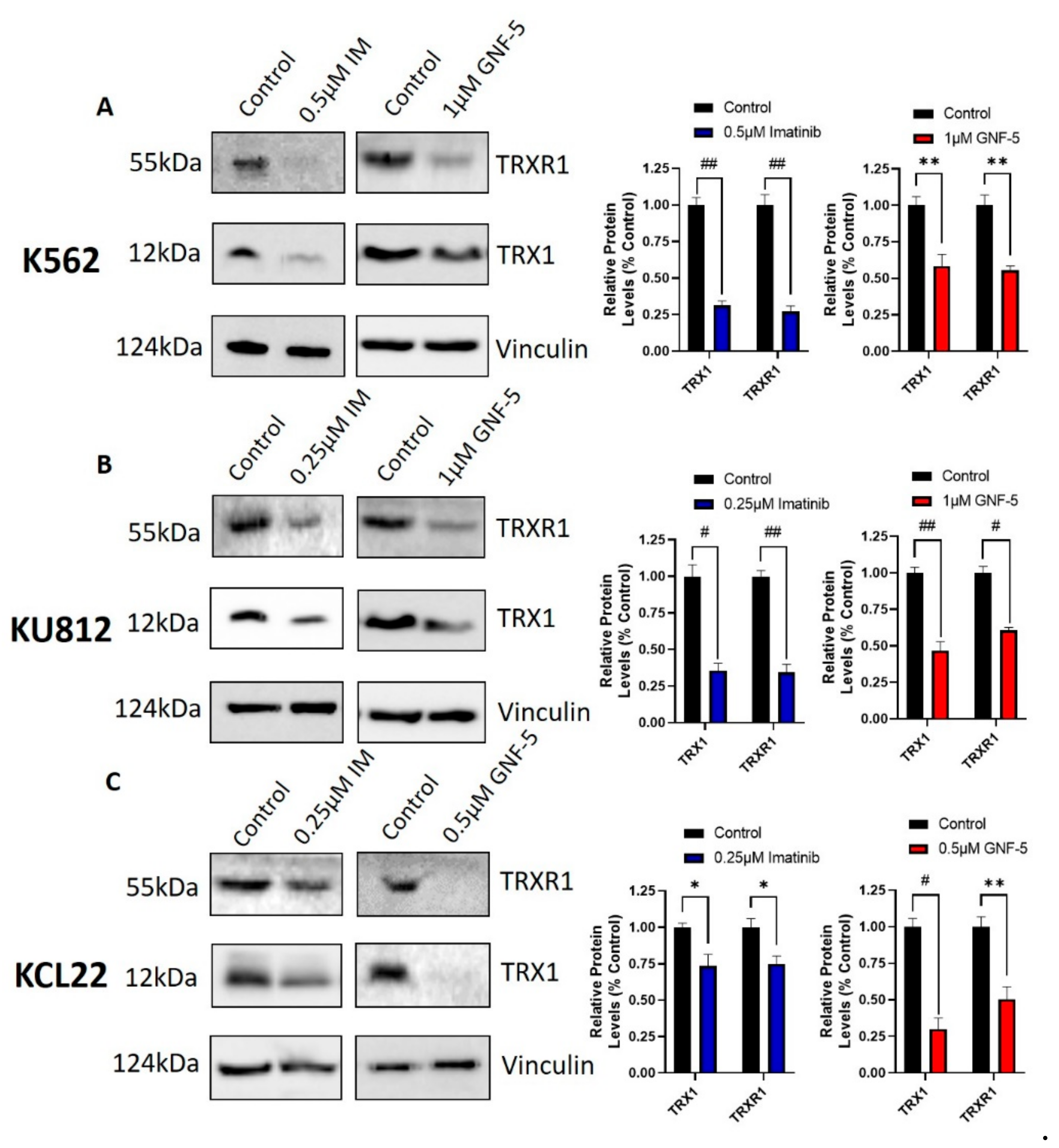 Hemato 02 00014 g006