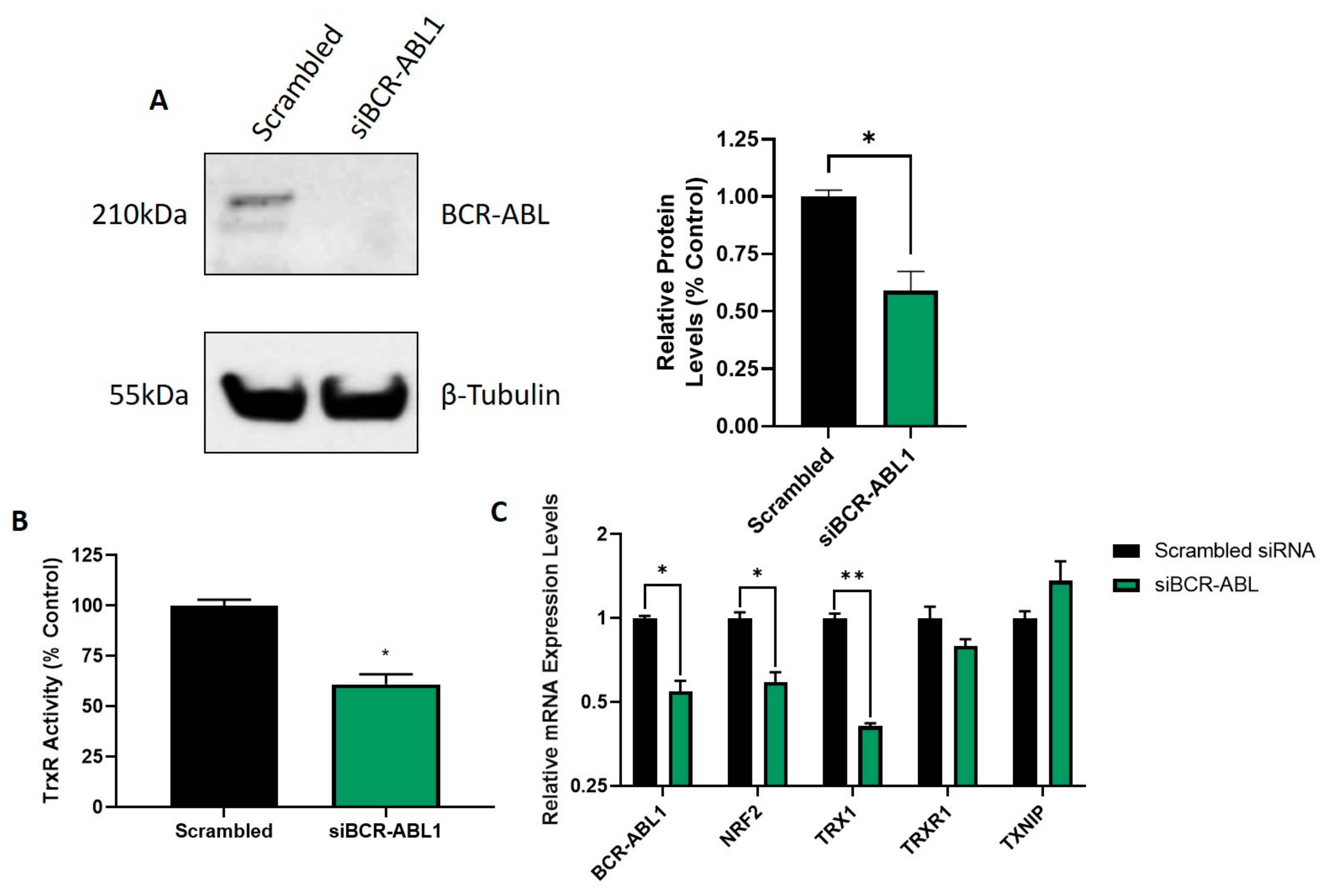 Hemato 02 00014 g007