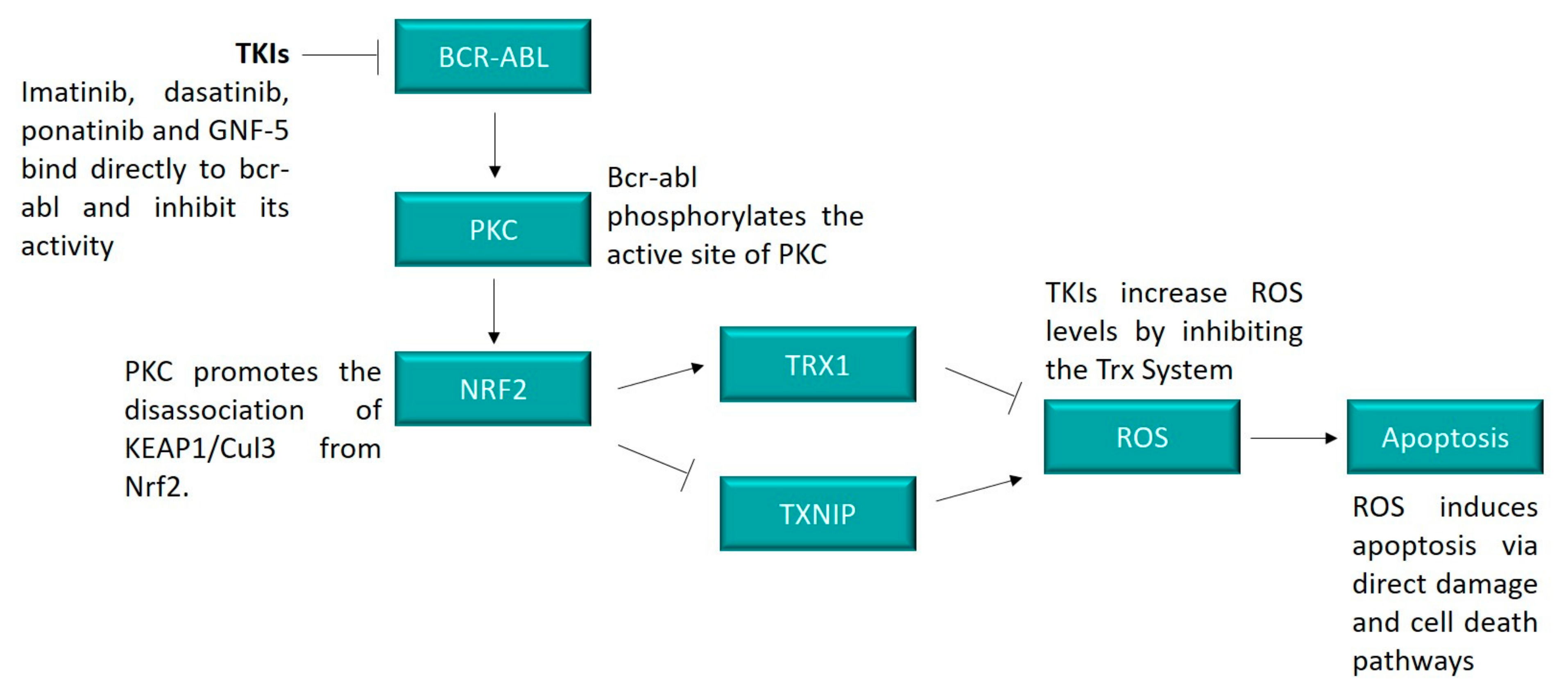 Hemato 02 00014 g008