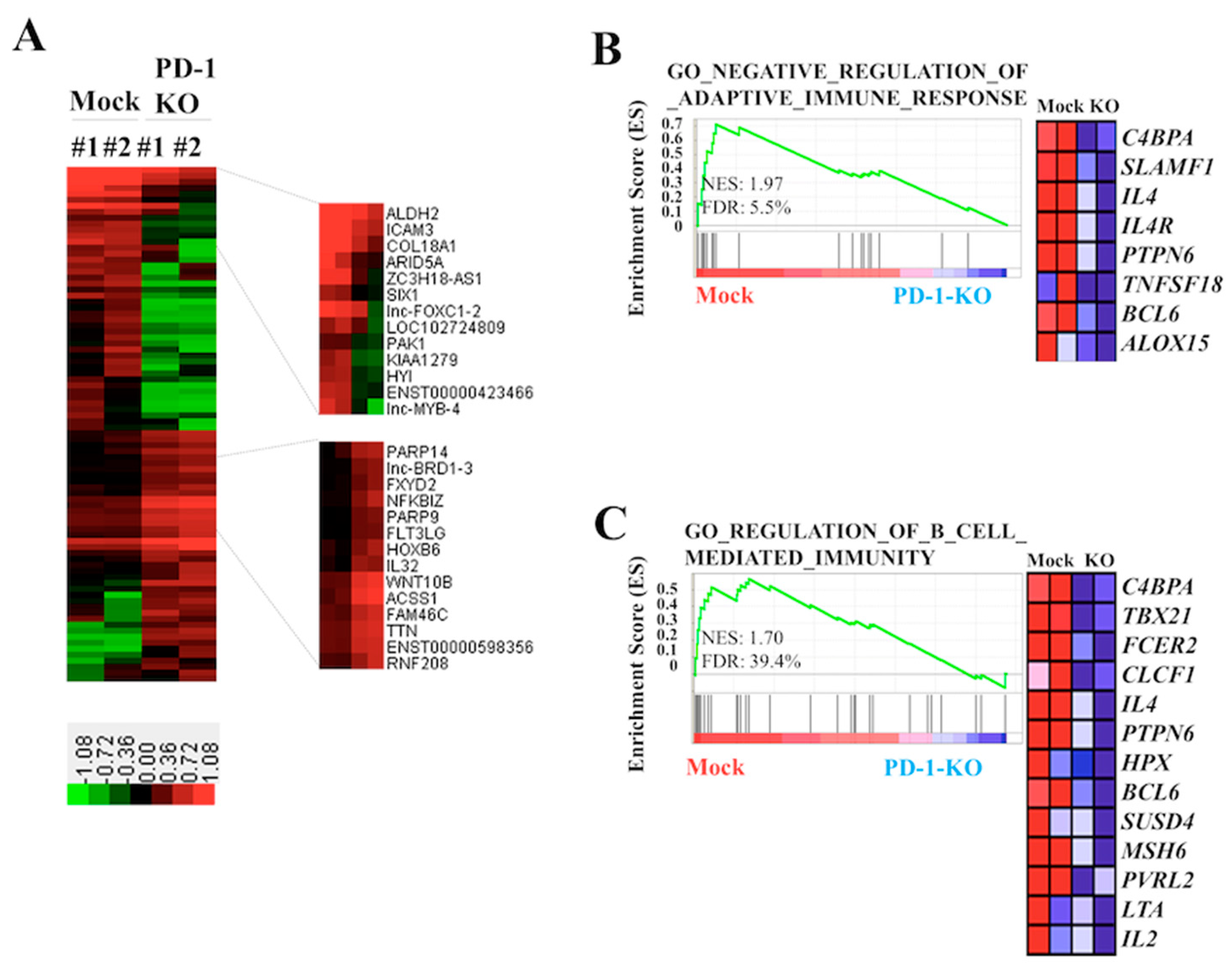 Hemato 02 00023 g004 Hemato 02 00023 g004