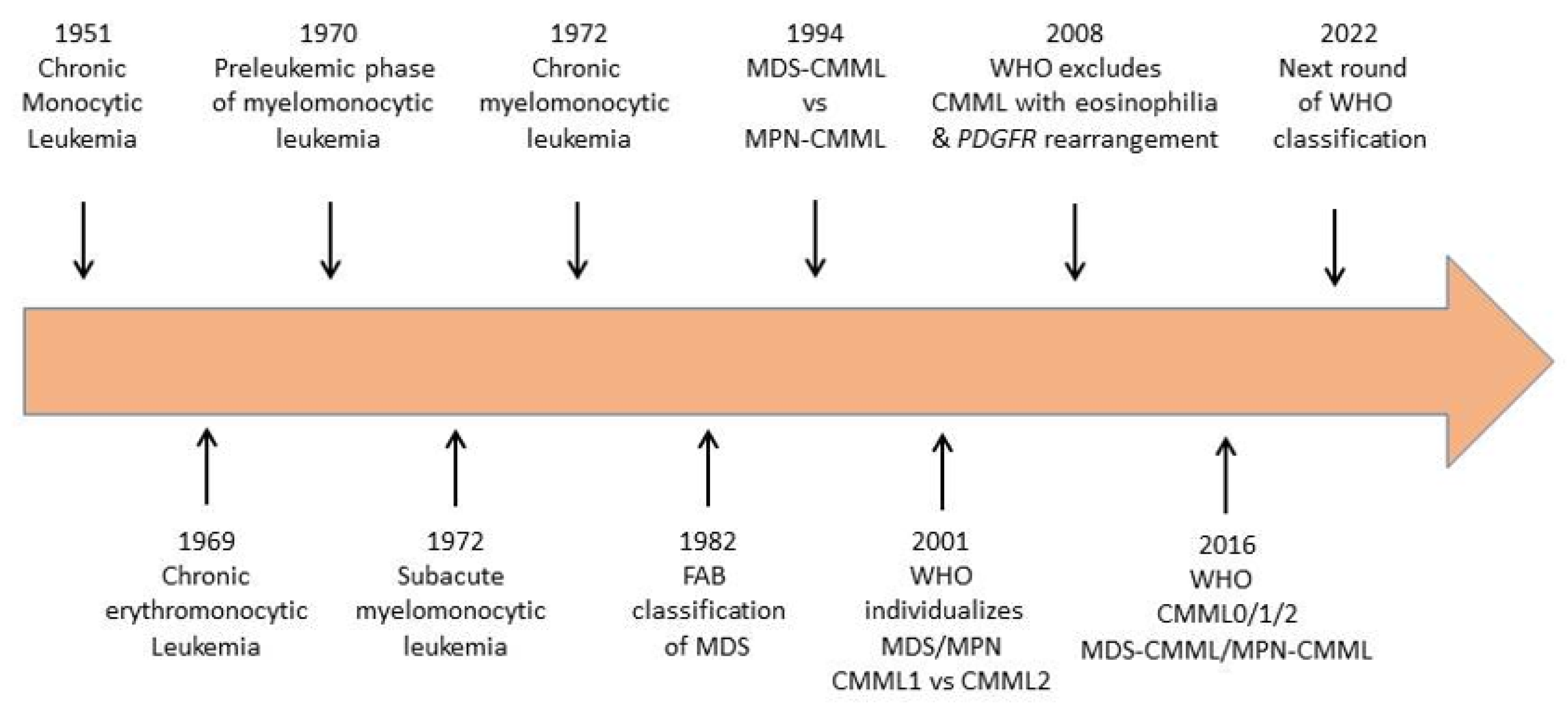 Hemato 02 00026 g001 Hemato 02 00026 g001