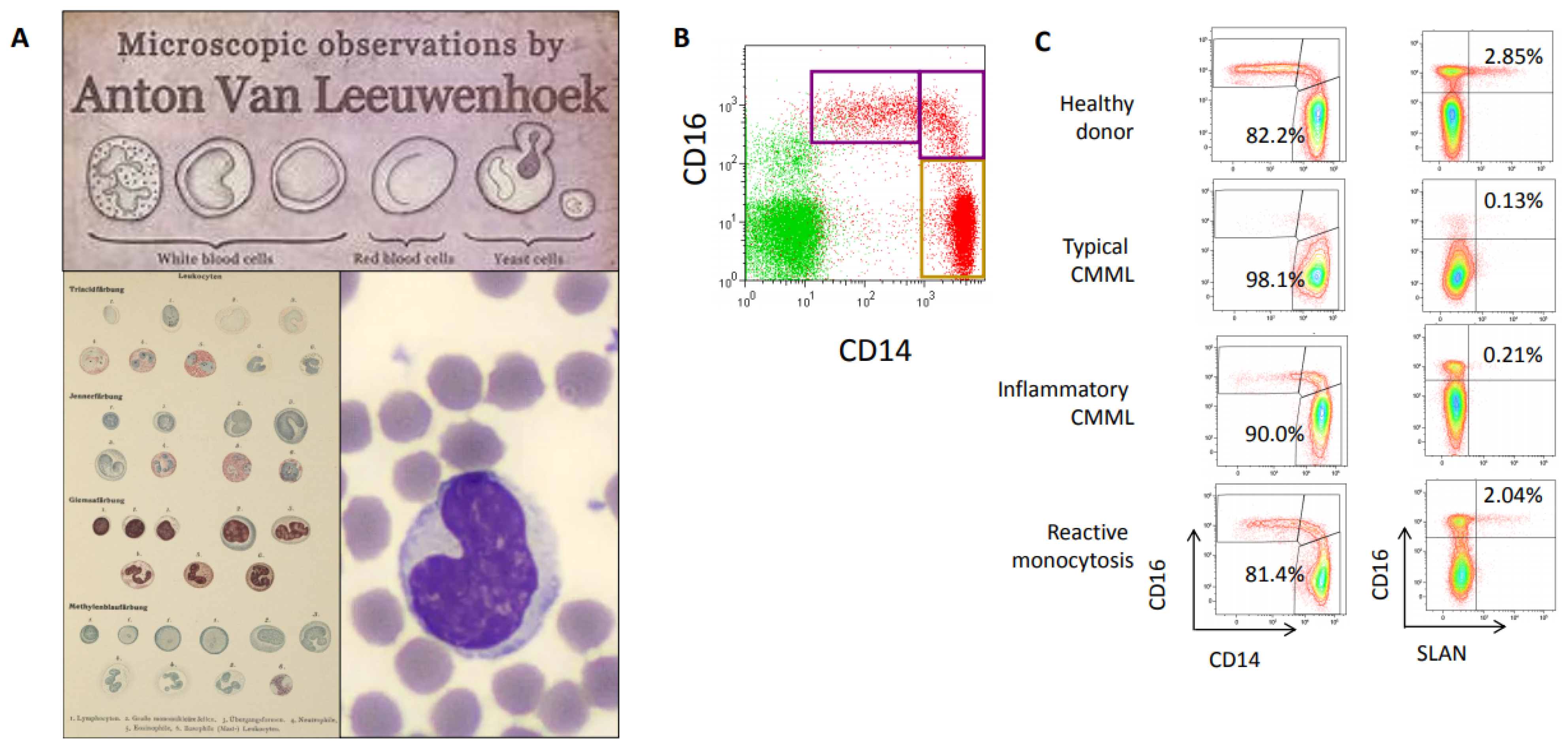 Hemato 02 00026 g002 Hemato 02 00026 g002