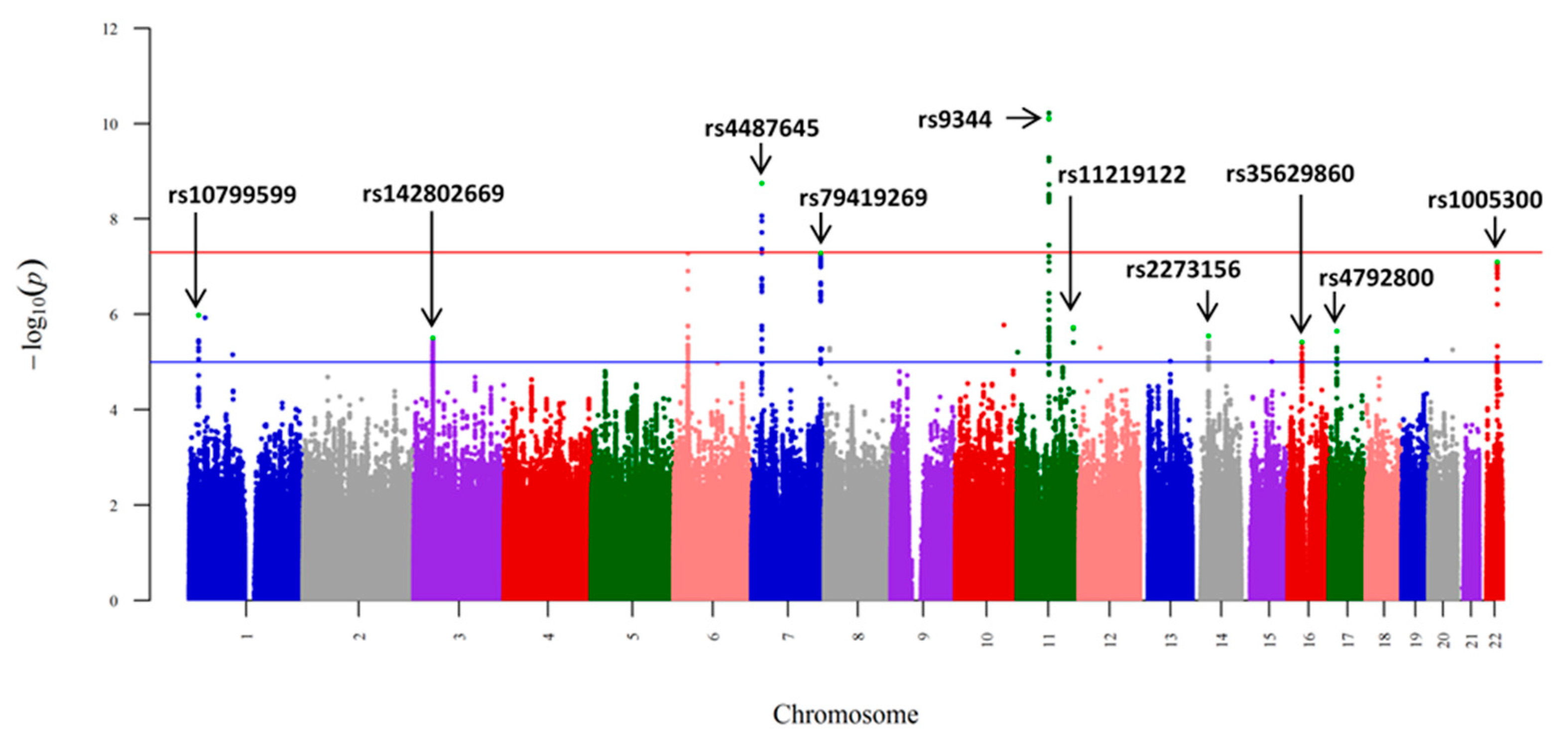 Hemato 02 00027 g002
