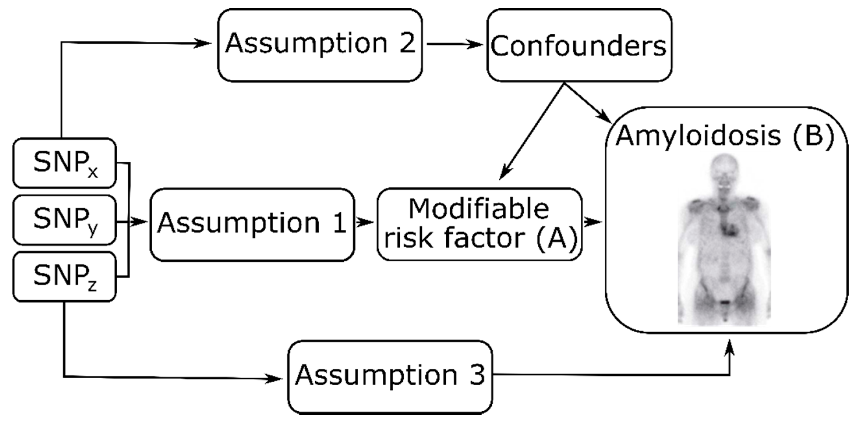 Hemato 02 00027 g004