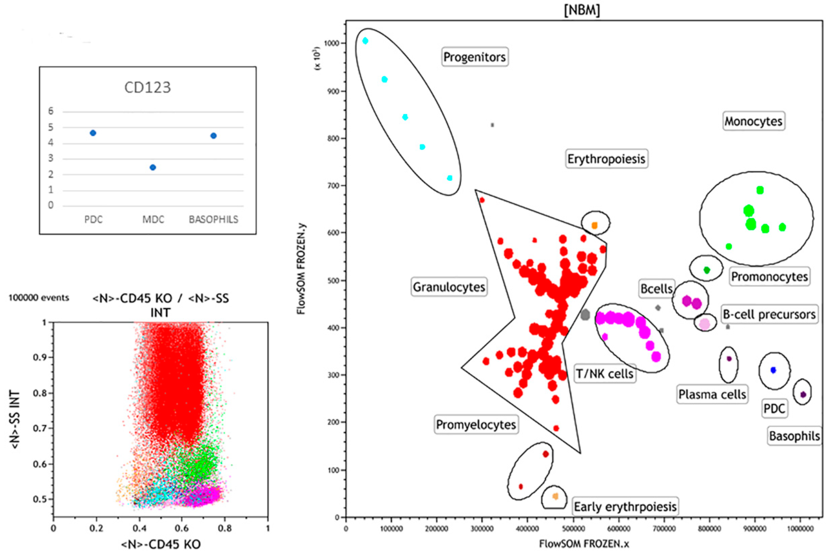 Hemato 02 00036 g001 550