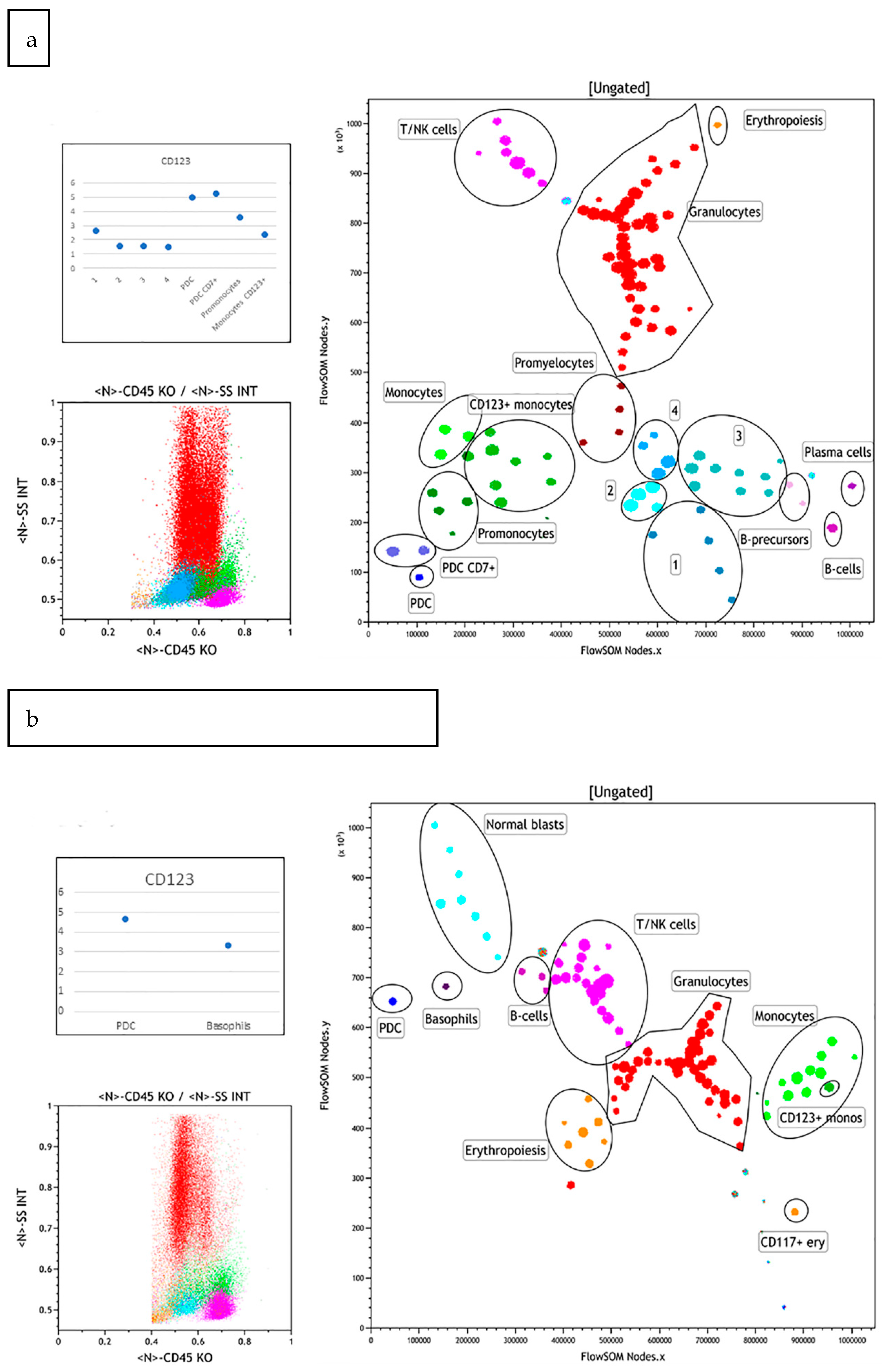 Hemato 02 00036 g004 550