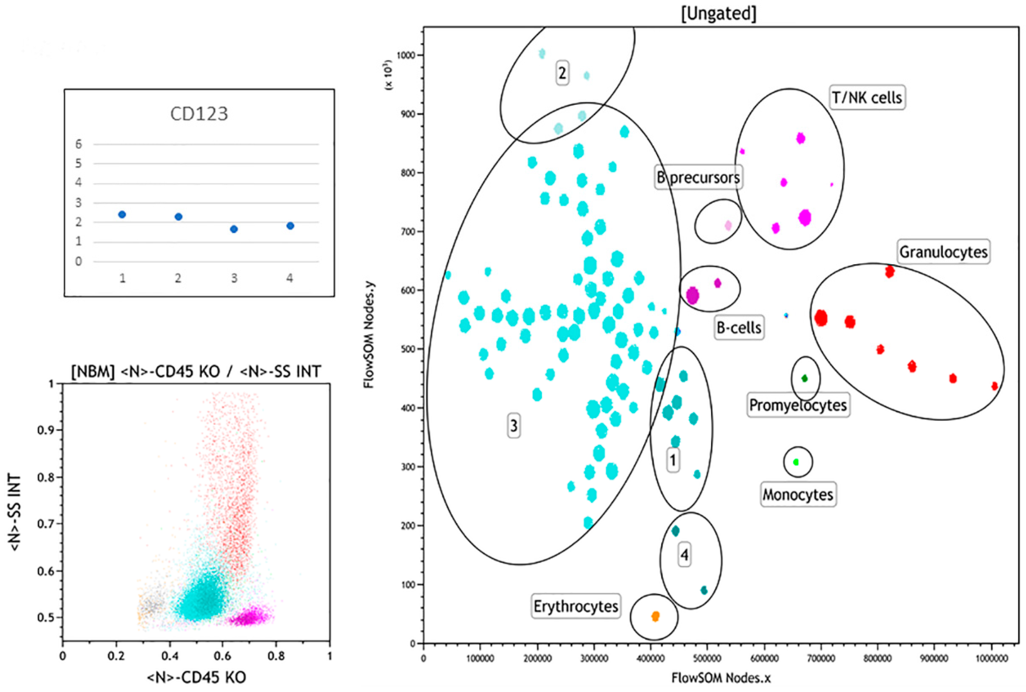 Hemato 02 00036 g005 550