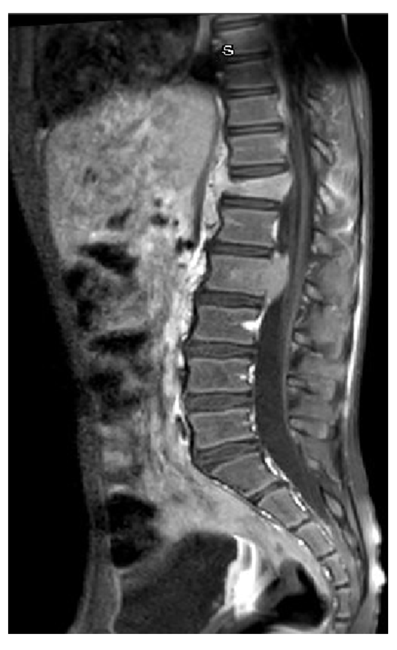 Hemato 02 00037 g001