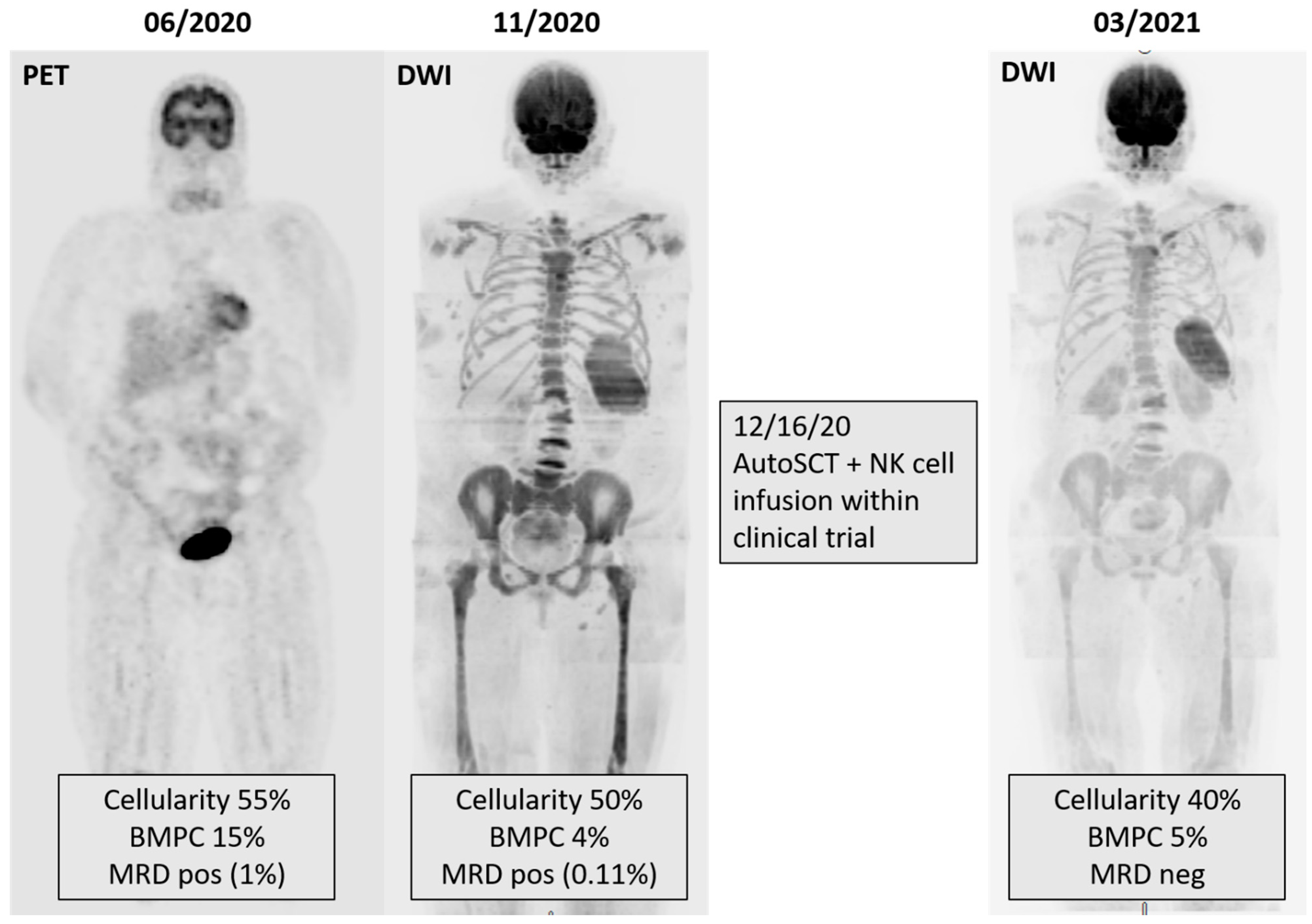 Hemato 02 00044 g002