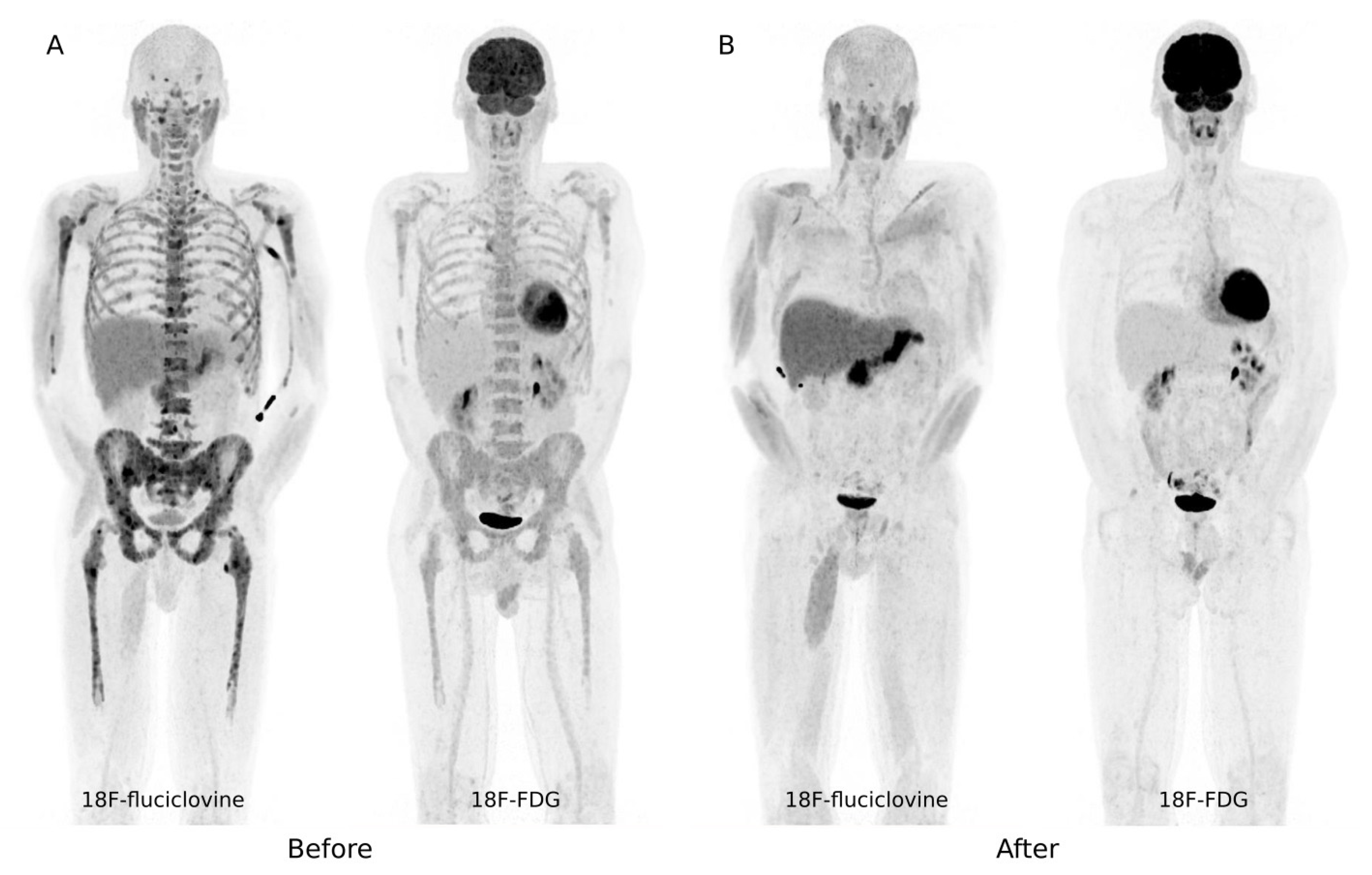 Hemato 02 00049 g001