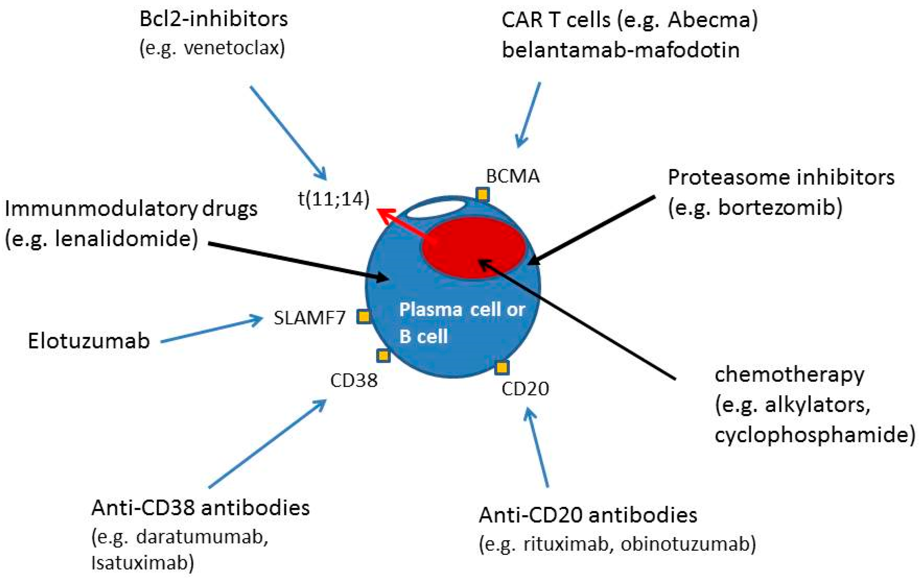Hemato 02 00050 g001