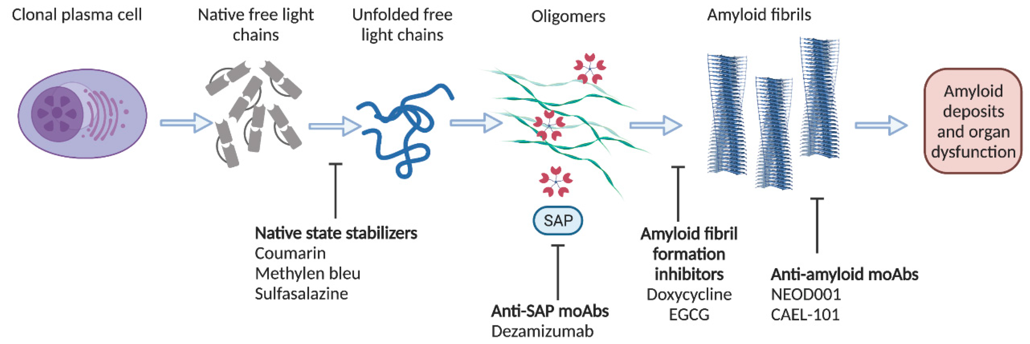 Hemato 03 00012 g002 Hemato 03 00012 g002