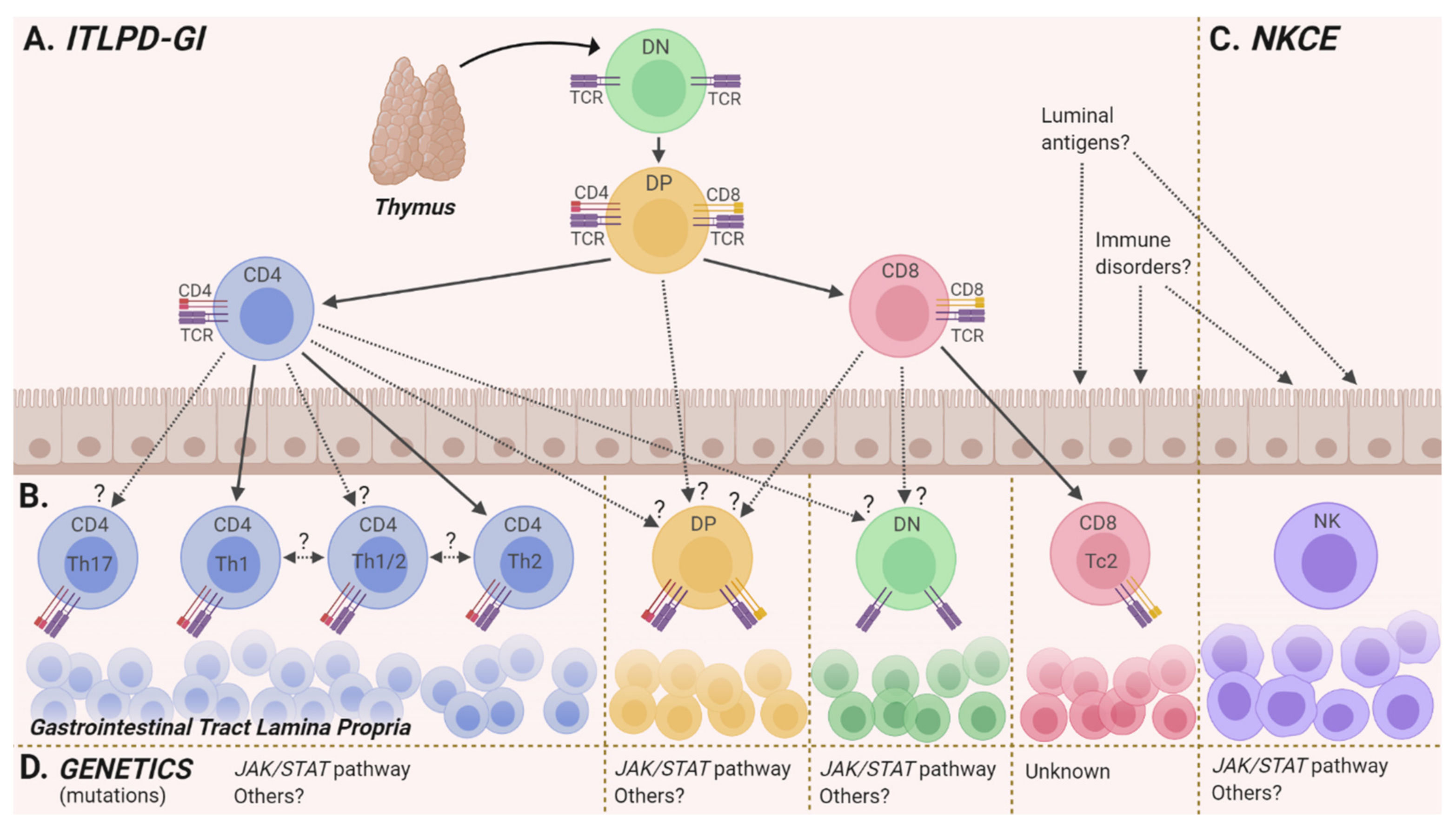 Hemato 03 00018 g002 Hemato 03 00018 g002