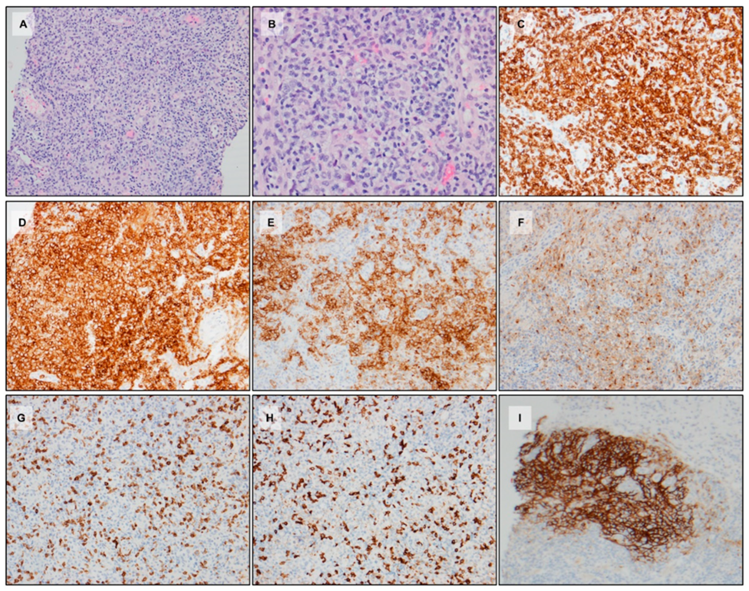 Hemato 03 00020 g007