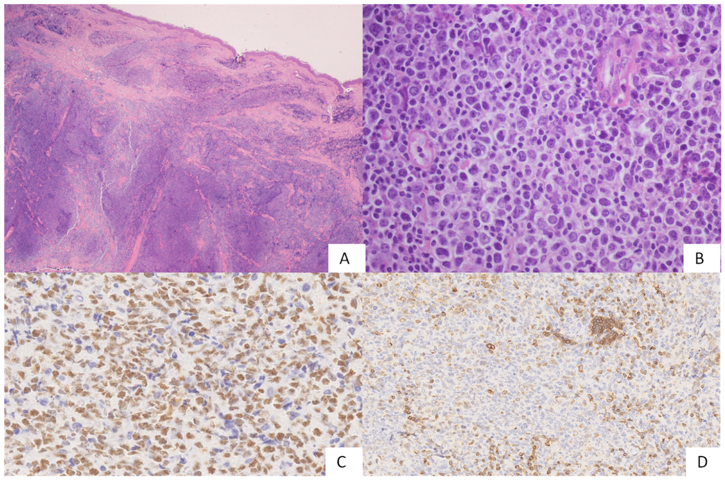 Hemato 03 00023 g004