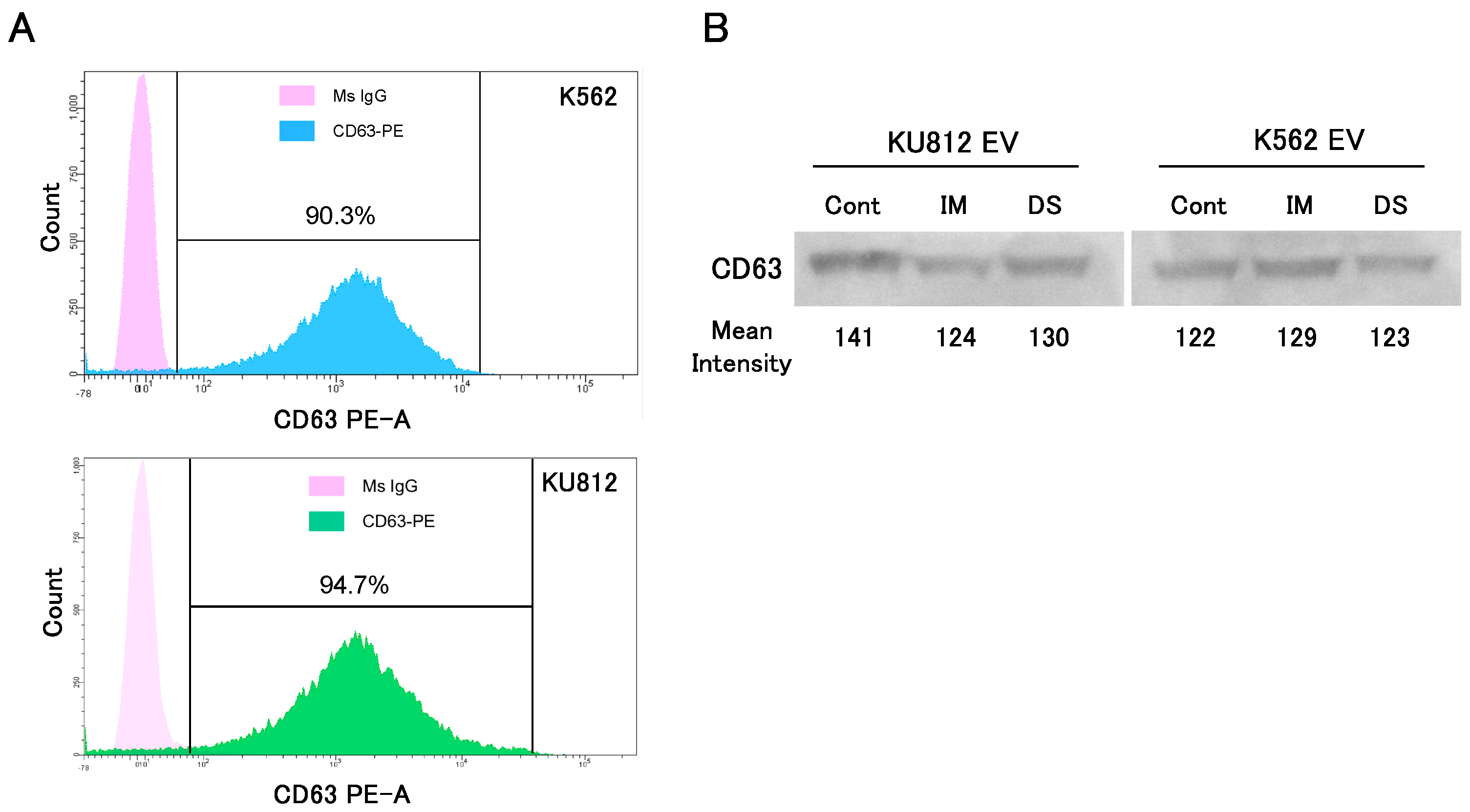 Hemato 03 00026 g001