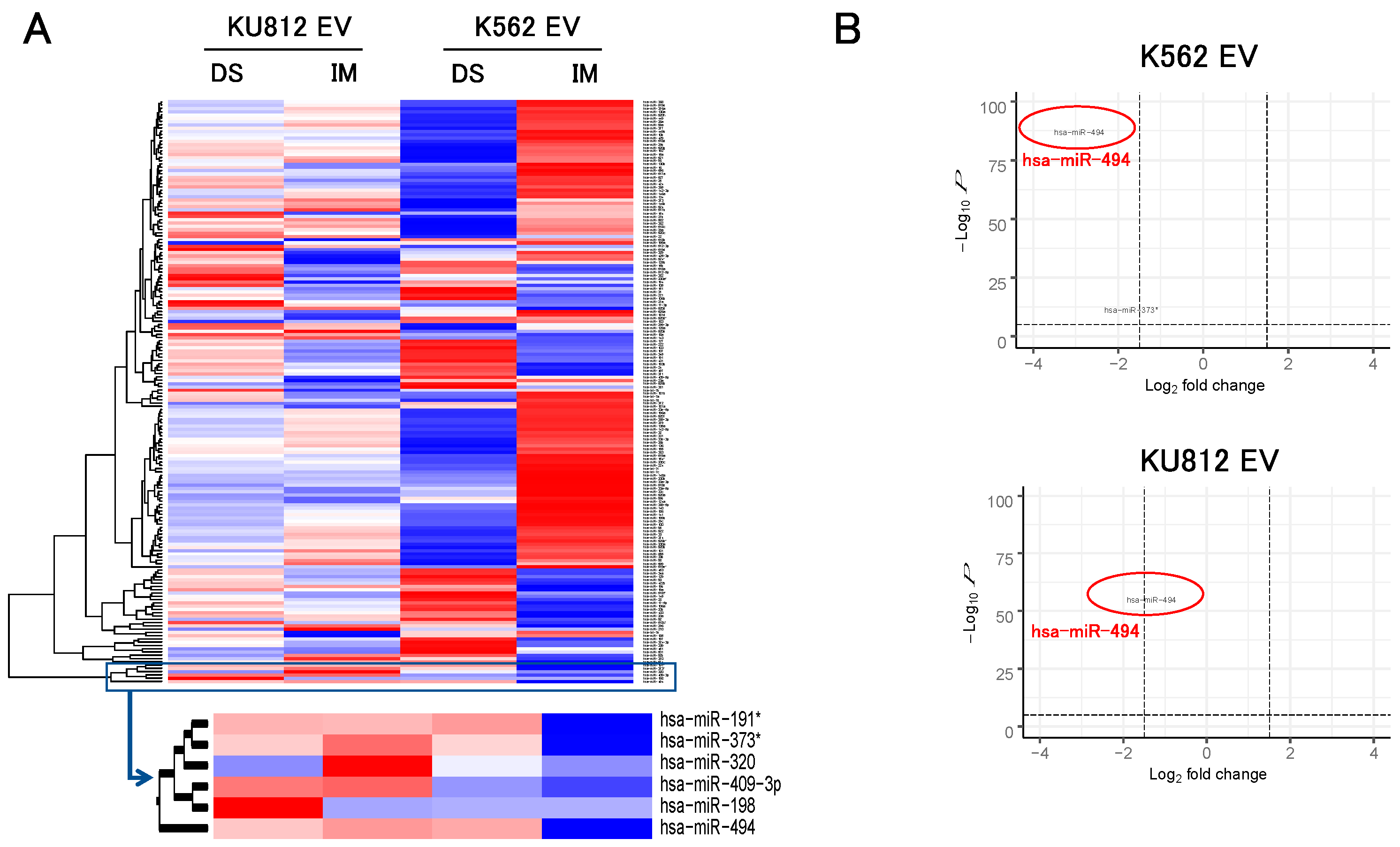 Hemato 03 00026 g002