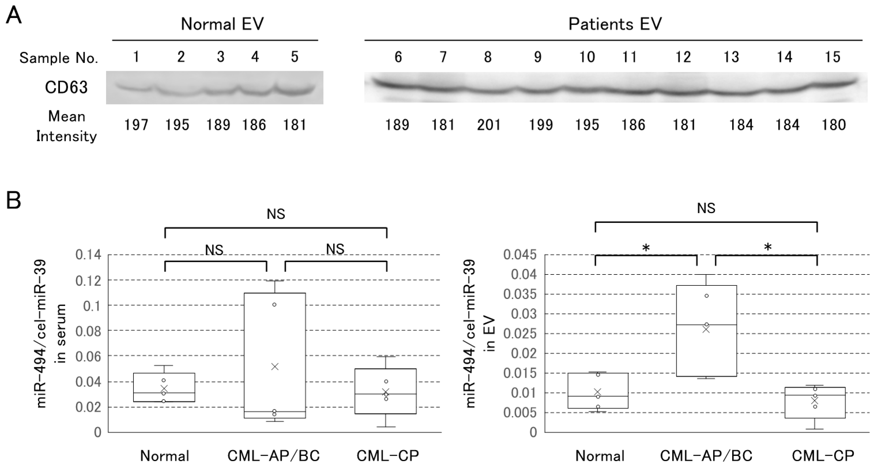 Hemato 03 00026 g004