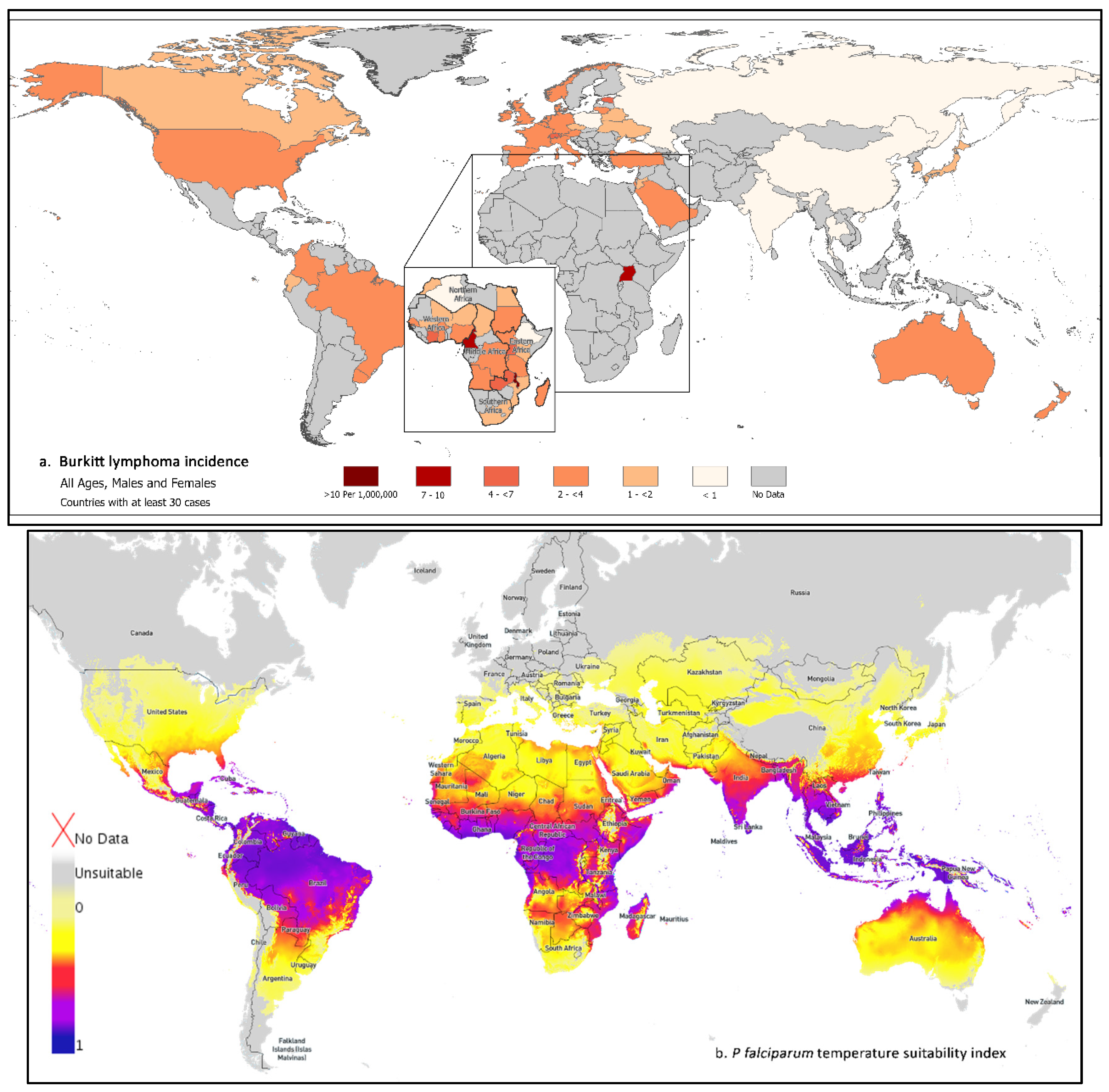 Hemato 03 00030 g001