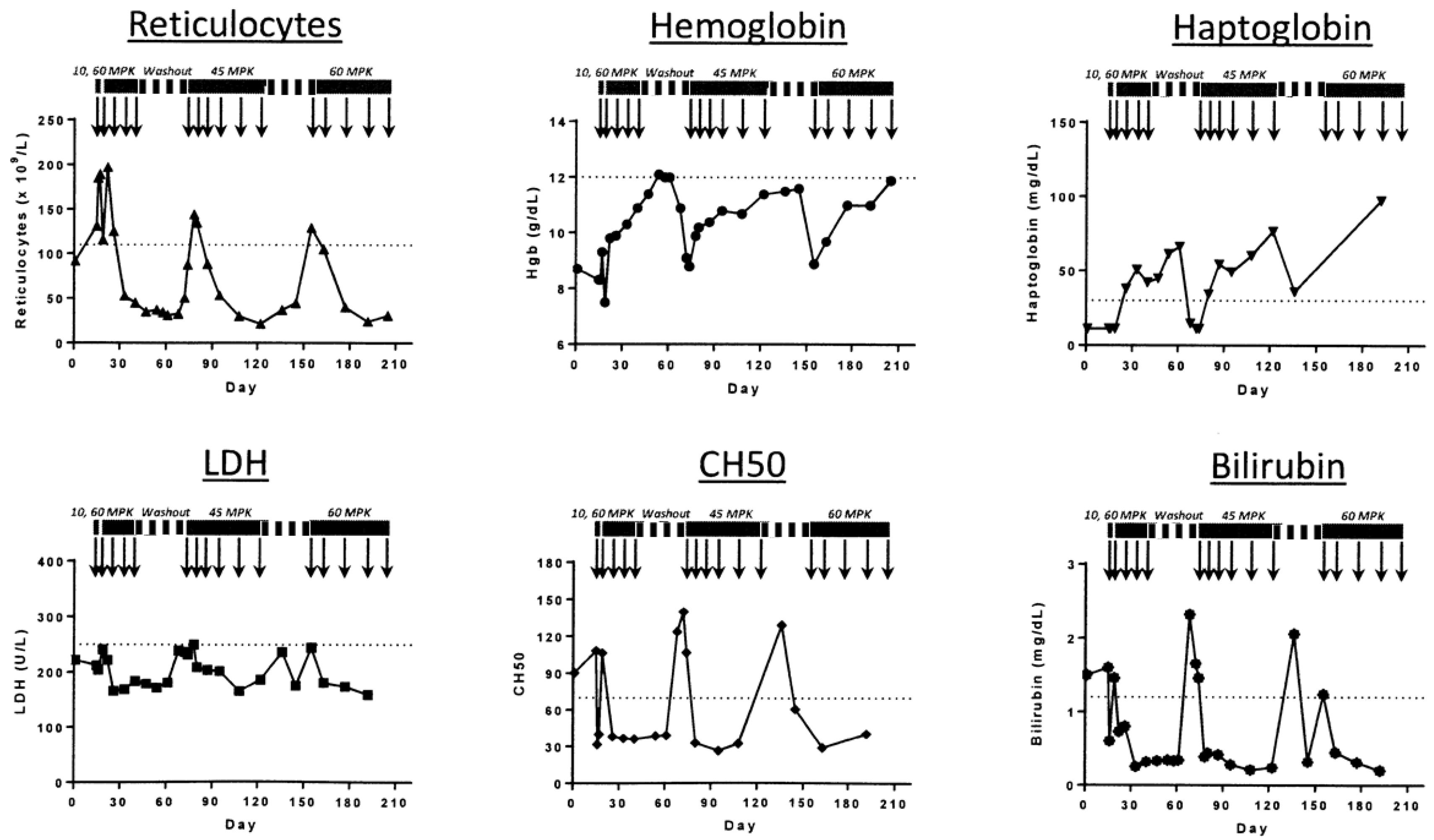 Hemato 03 00040 g006 Hemato 03 00040 g006