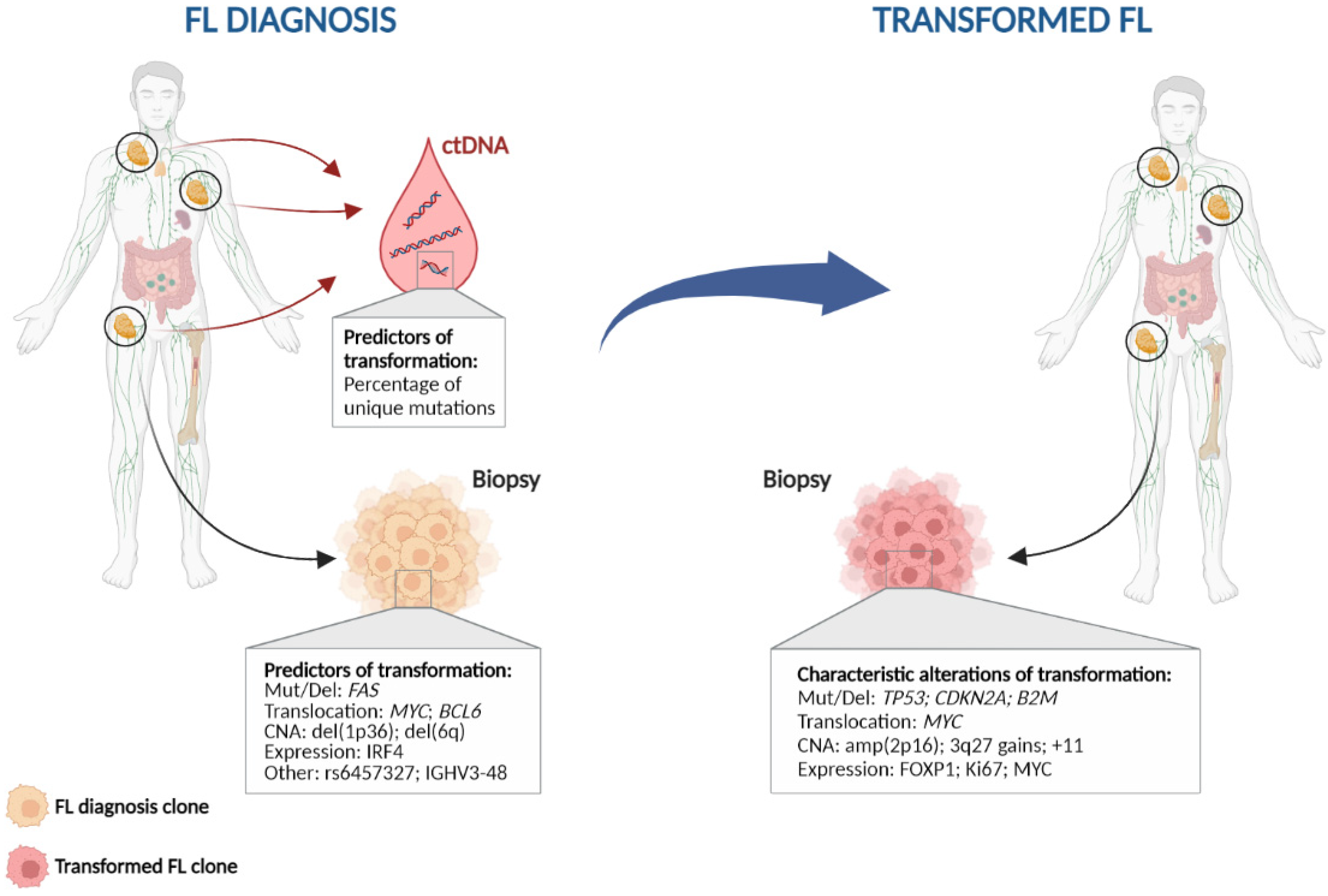 Hemato 03 00042 g002 Hemato 03 00042 g002