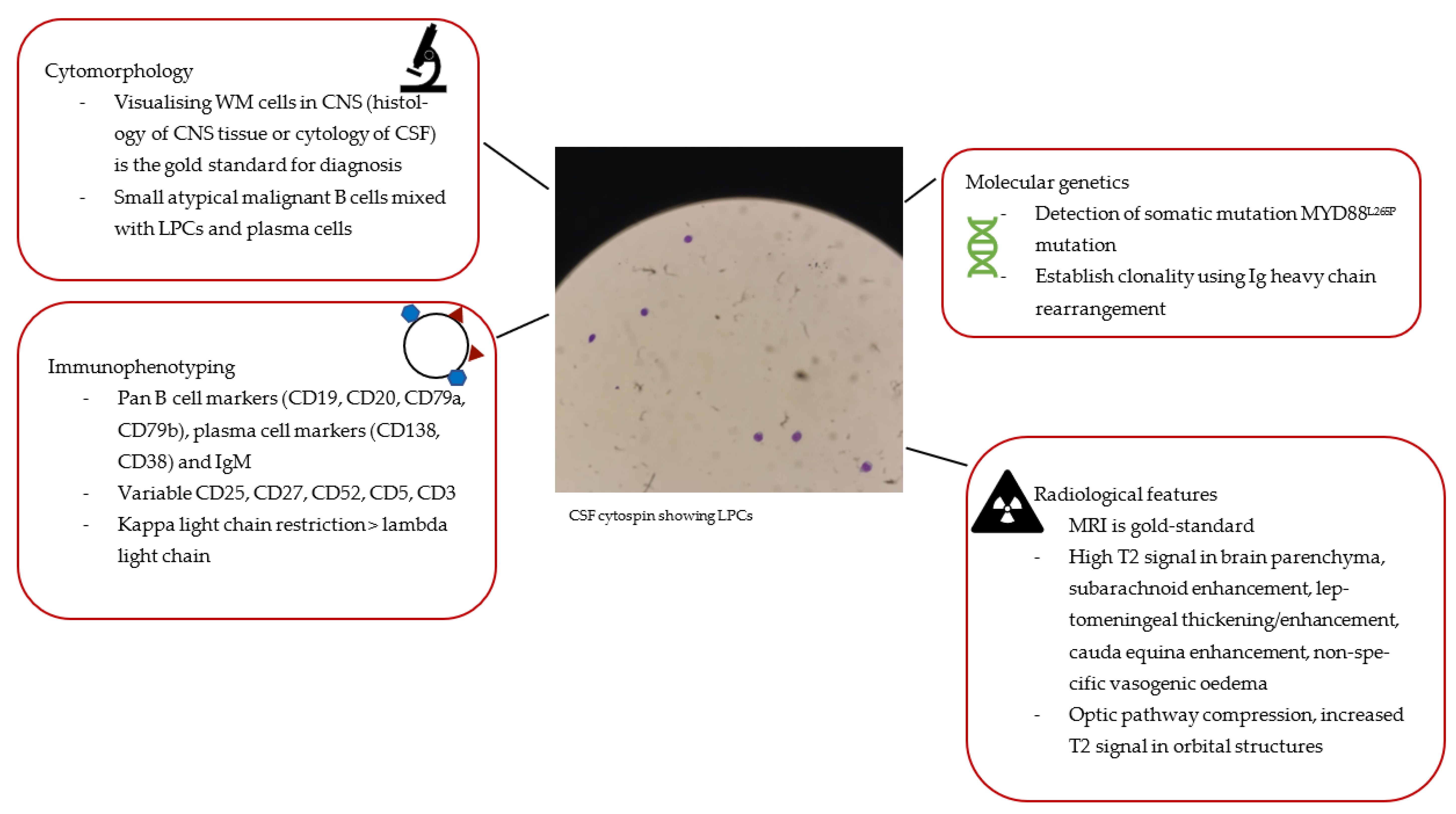 krøllet Gå glip af typisk Hemato | Free Full-Text | Bing&ndash;Neel Syndrome: Update on Diagnosis and  Treatment