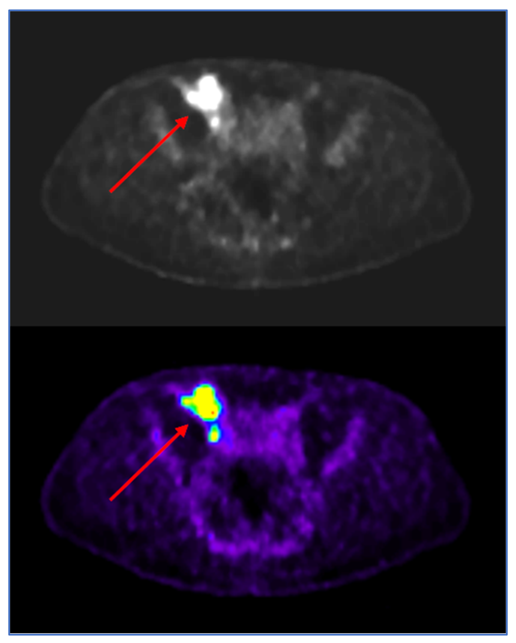Hemato 03 00052 g004