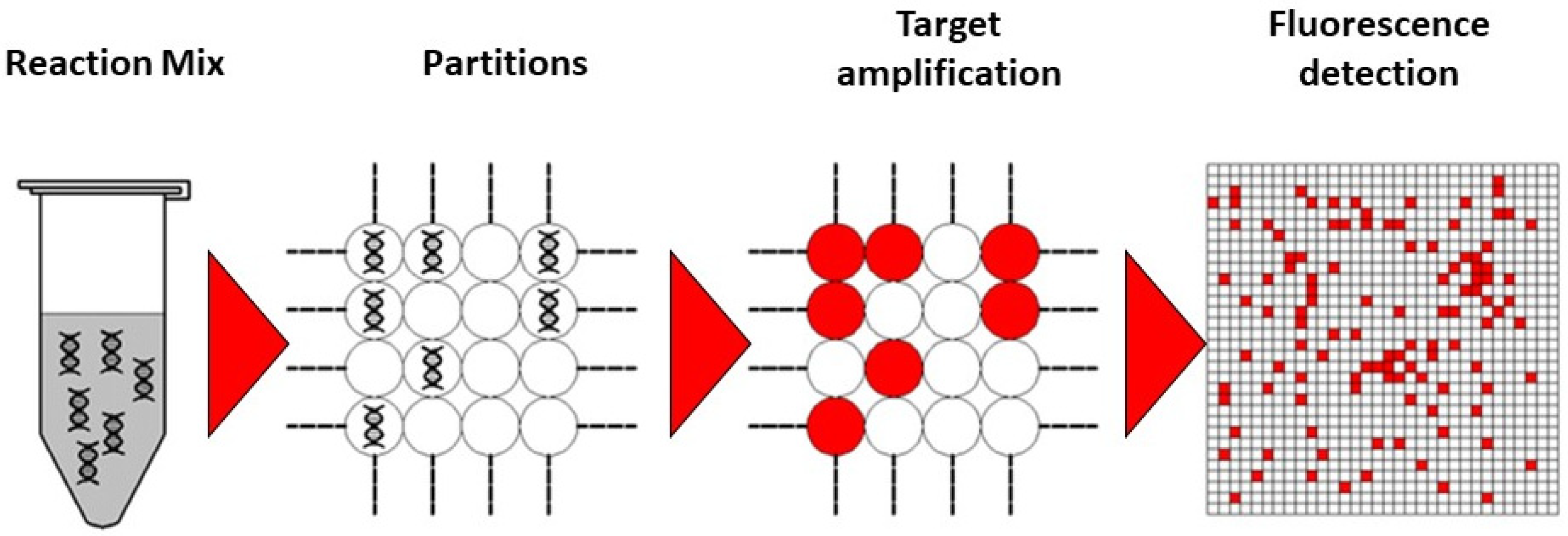 Hemato 04 00001 g002