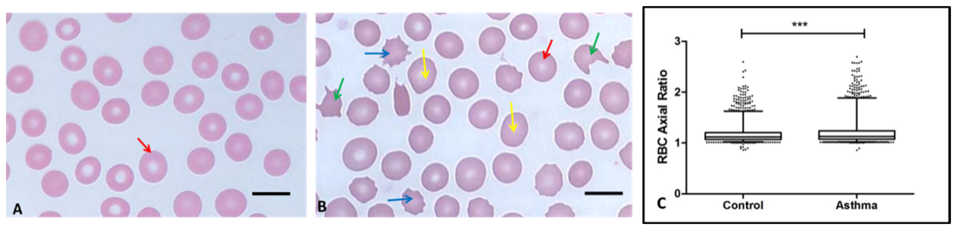 Hemato 04 00009 g001 Hemato 04 00009 g001