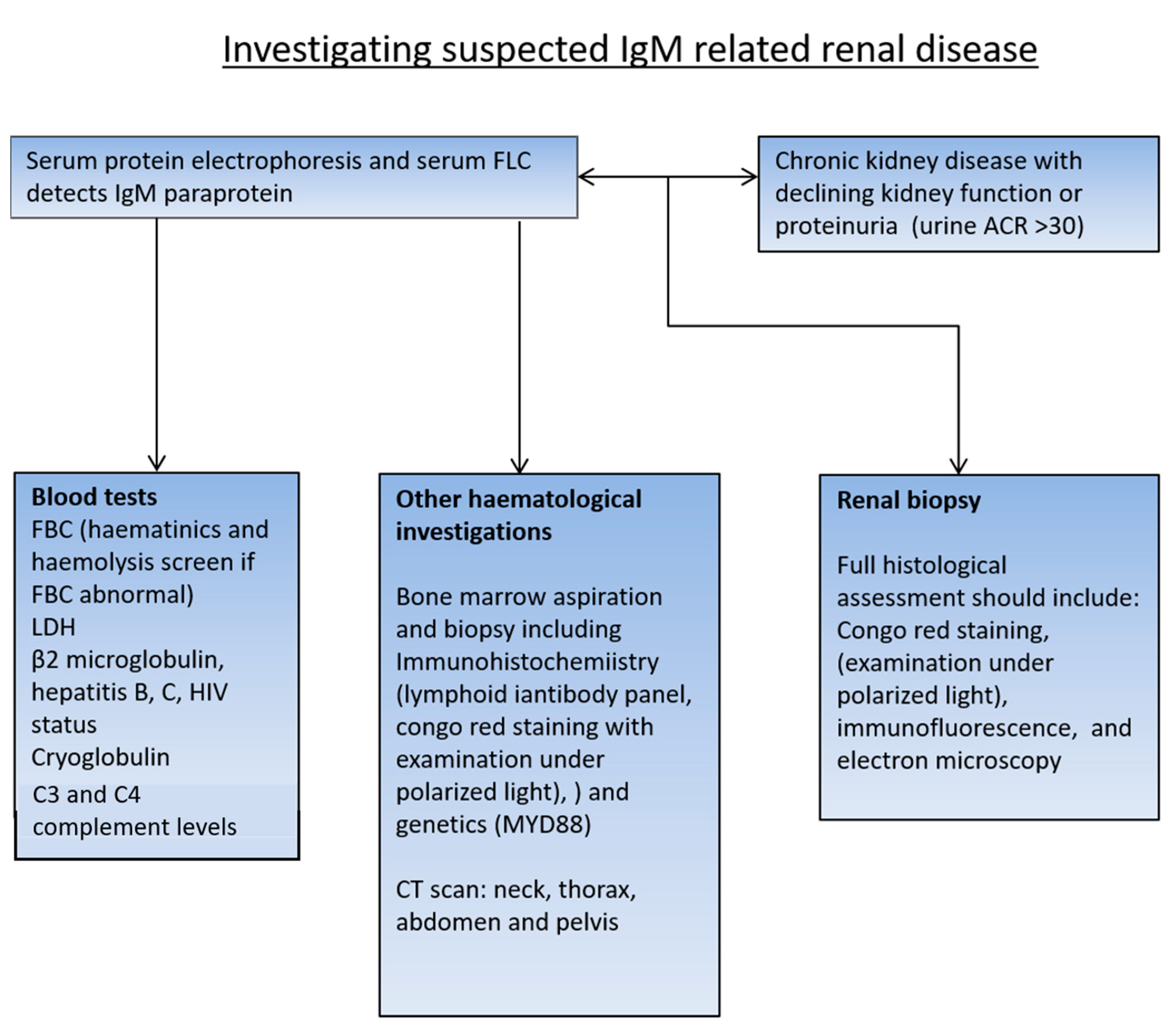 Hemato 04 00015 g001 Hemato 04 00015 g001