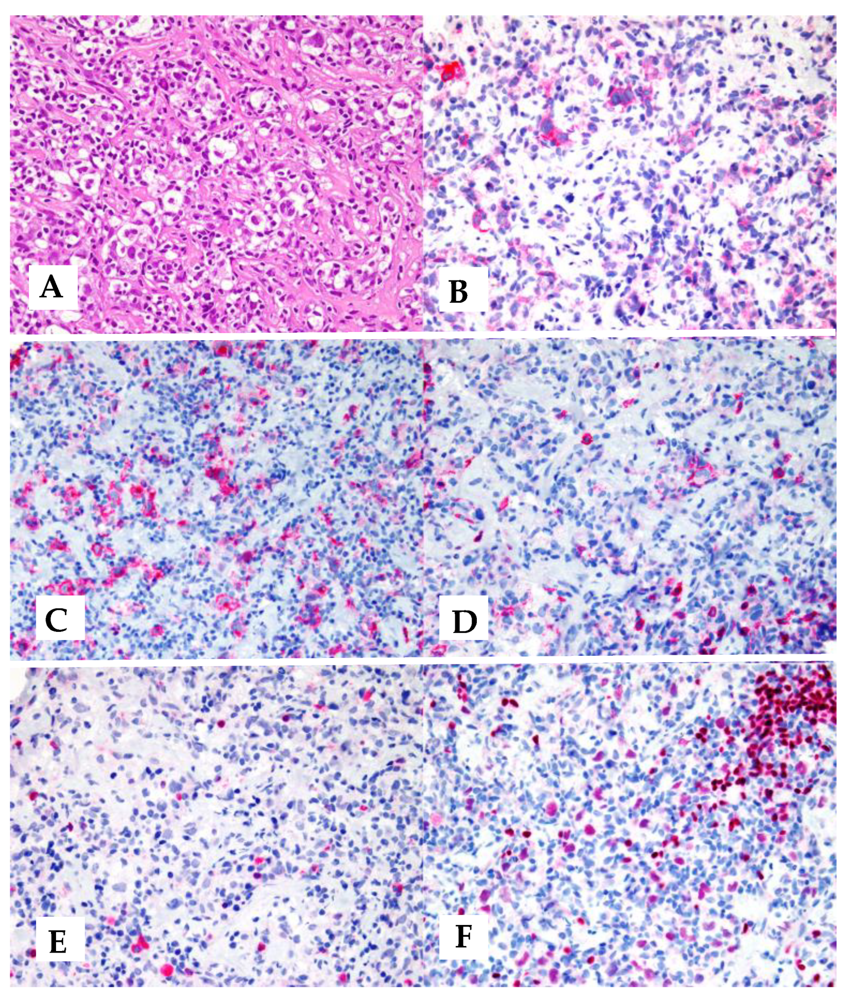 Hemato 04 00016 g002