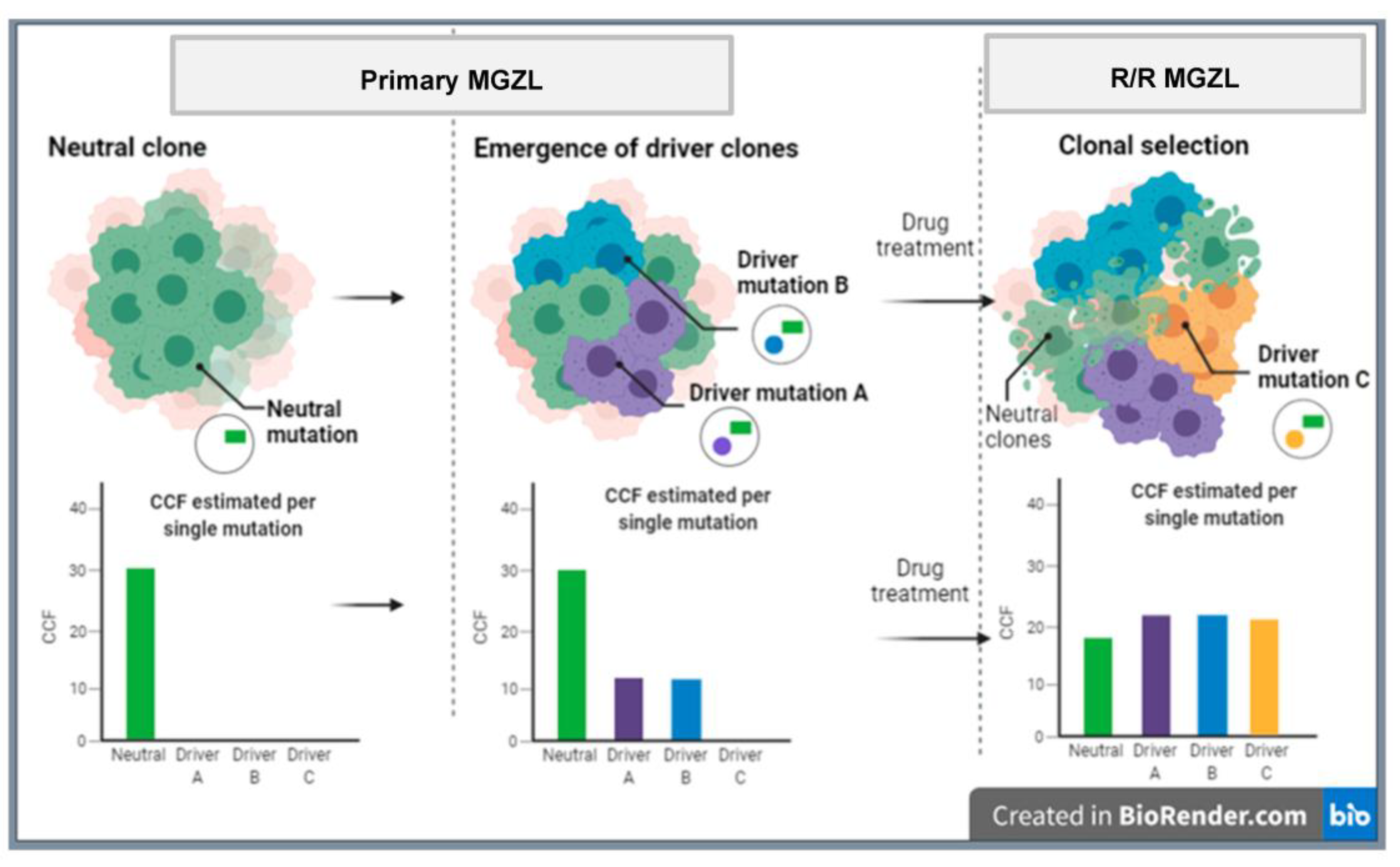 Hemato 04 00016 g003